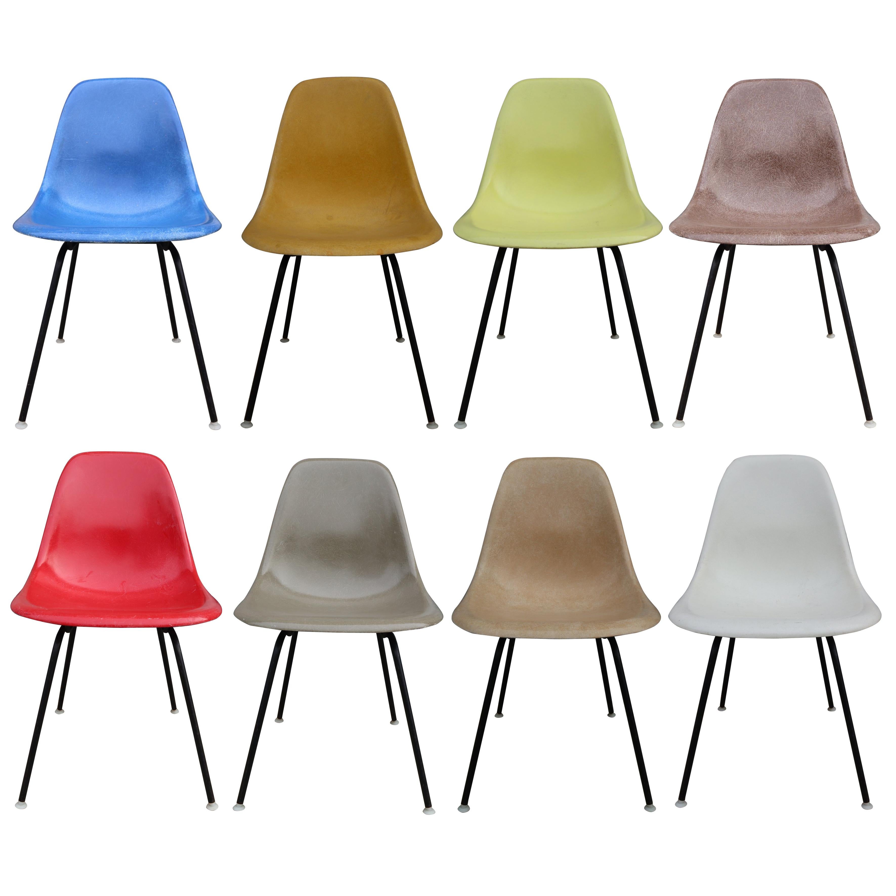 Eight Herman Miller Eames Multicolored Dining Chairs
