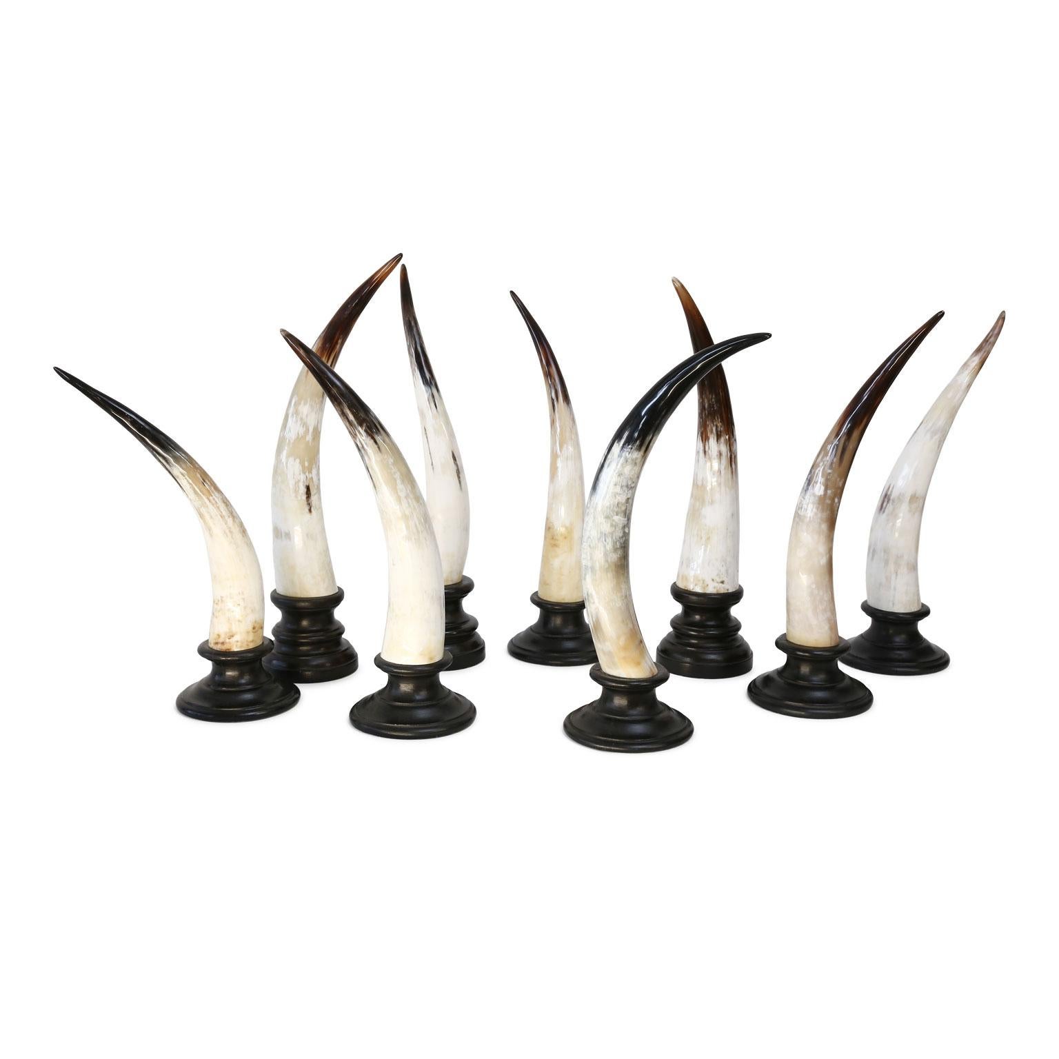 Eight Horn Sculptures For Sale 6