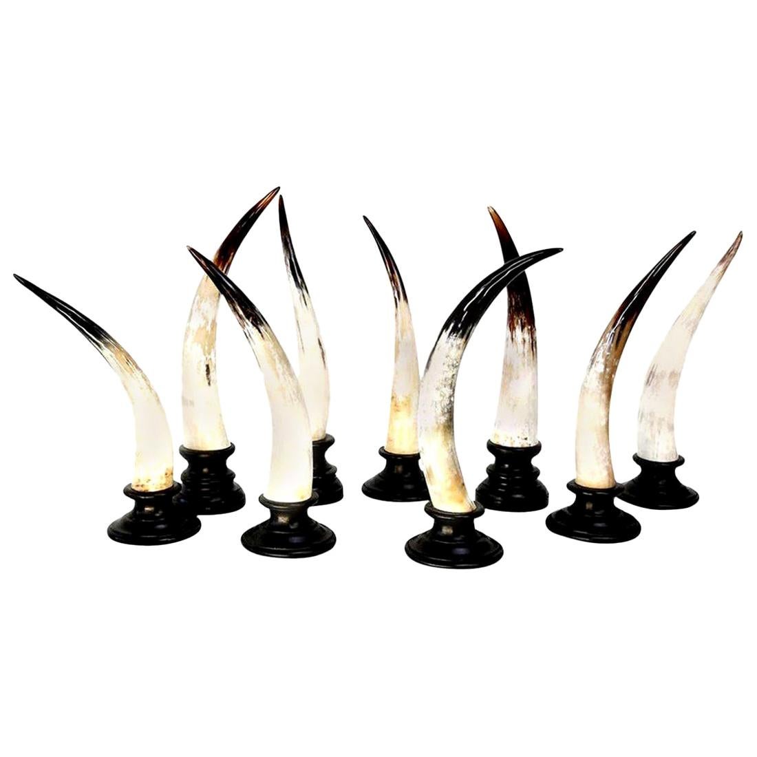 Eight Horn Sculptures For Sale 7