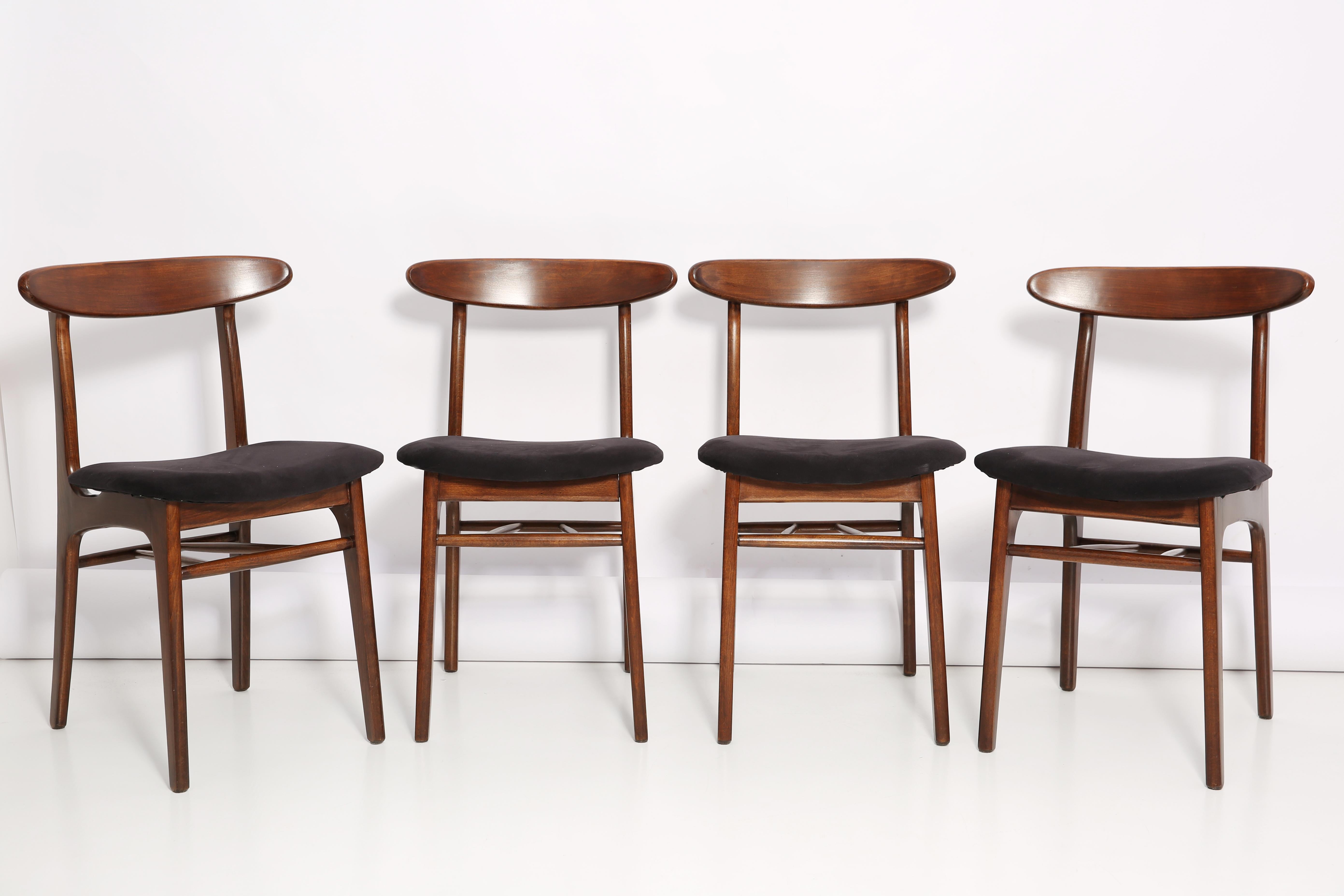 Chairs designed by Prof. Rajmund Halas. Made of beechwood. The set is after a complete upholstery renovation, the woodwork has been refreshed. Seat is dressed in black, durable and pleasant to the touch velvet fabric. Chair is stabile and very