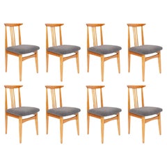 Eight Mid-Century Graphite Boucle Chairs, Light Wood, M Zielinski, Europe, 1960