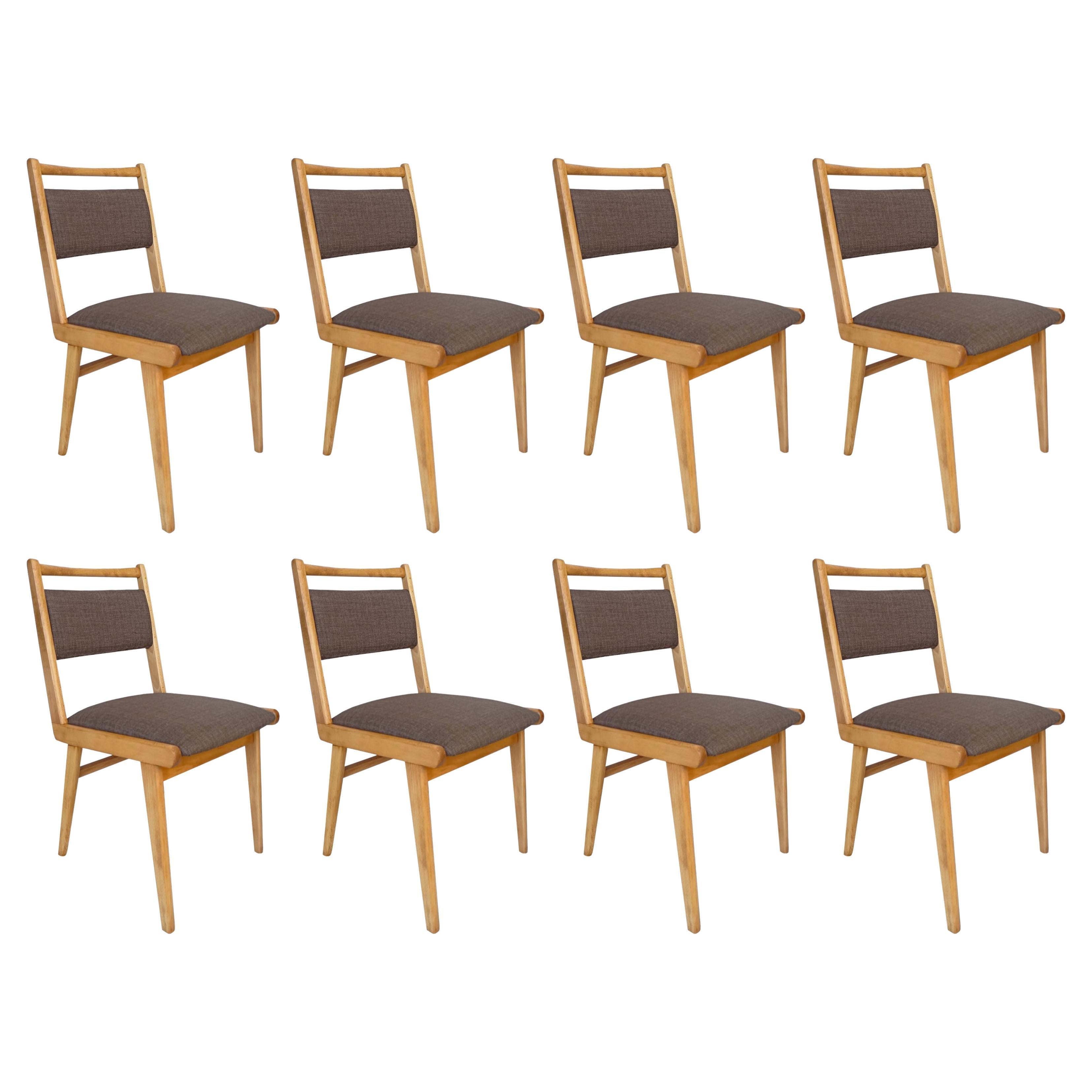 Eight Mid Century JAR Chairs, Brown Wool Millais by Dedar, Poland, Europe 1960s.