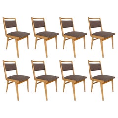 Eight Mid Century JAR Chairs, Brown Wool Millais by Dedar, Poland, Europe 1960s.