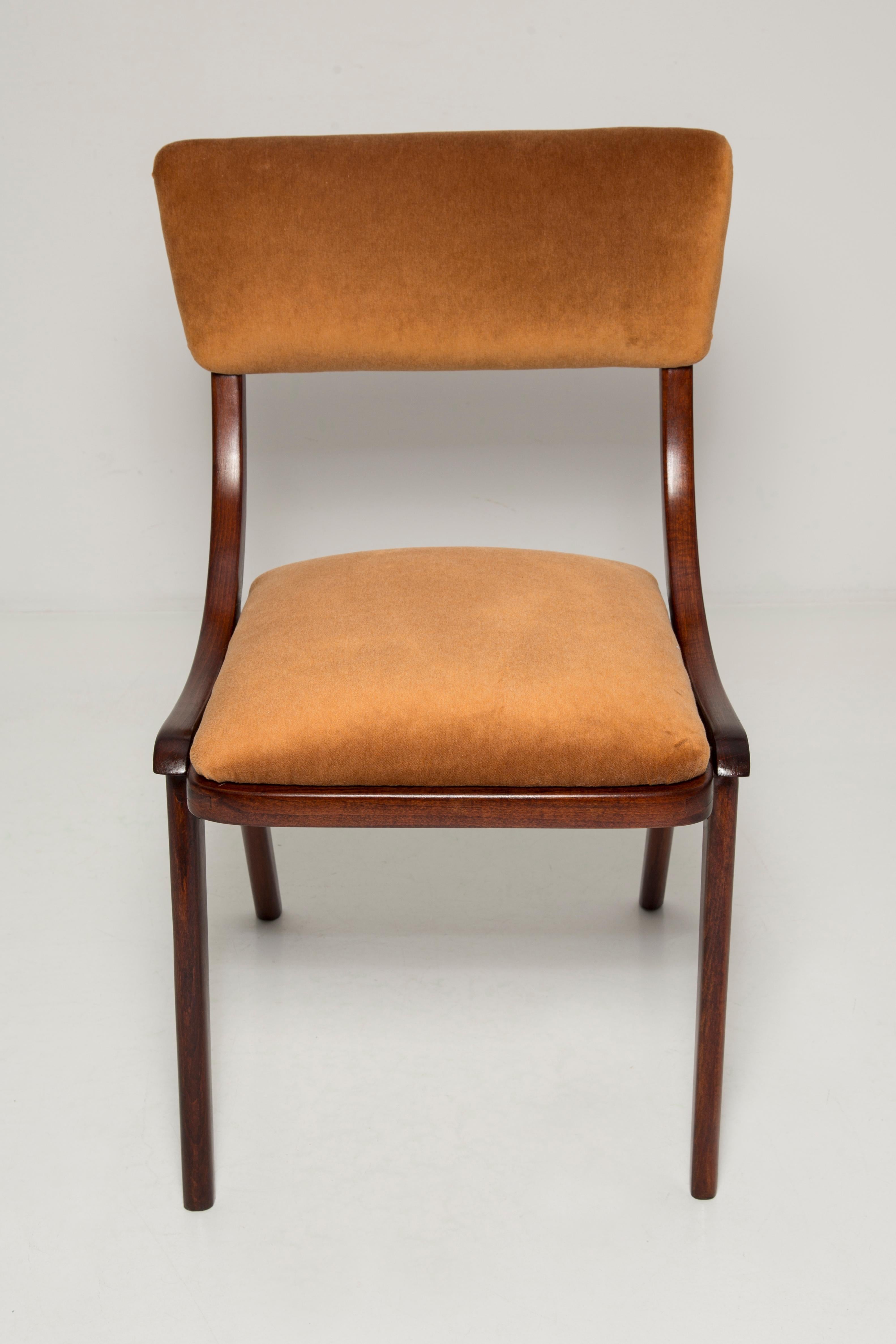 Mid-Century Modern Eight Mid Century Modern Bumerang Chairs, Brown Beige Velvet, Poland, 1960s For Sale