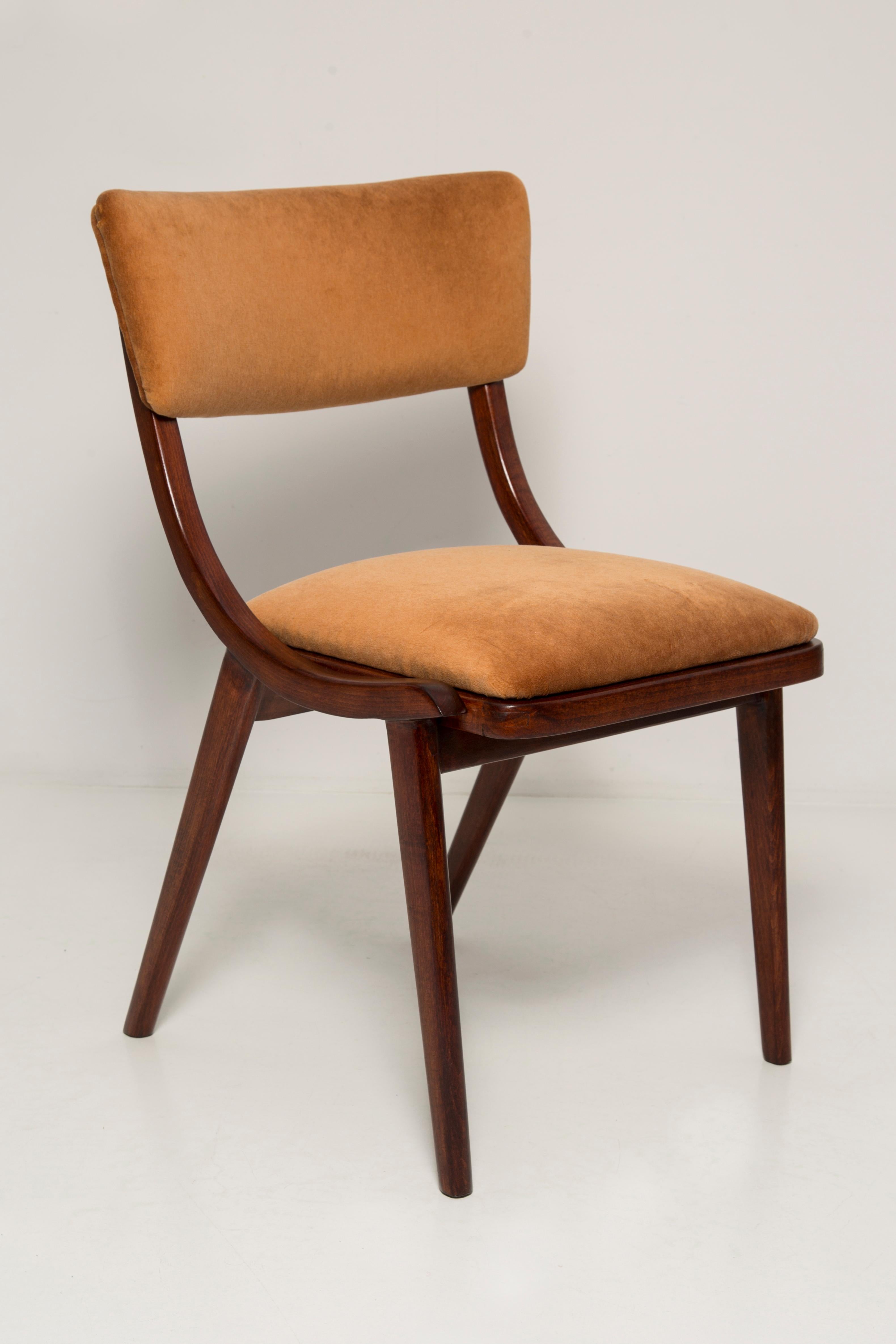 Polish Eight Mid Century Modern Bumerang Chairs, Brown Beige Velvet, Poland, 1960s For Sale