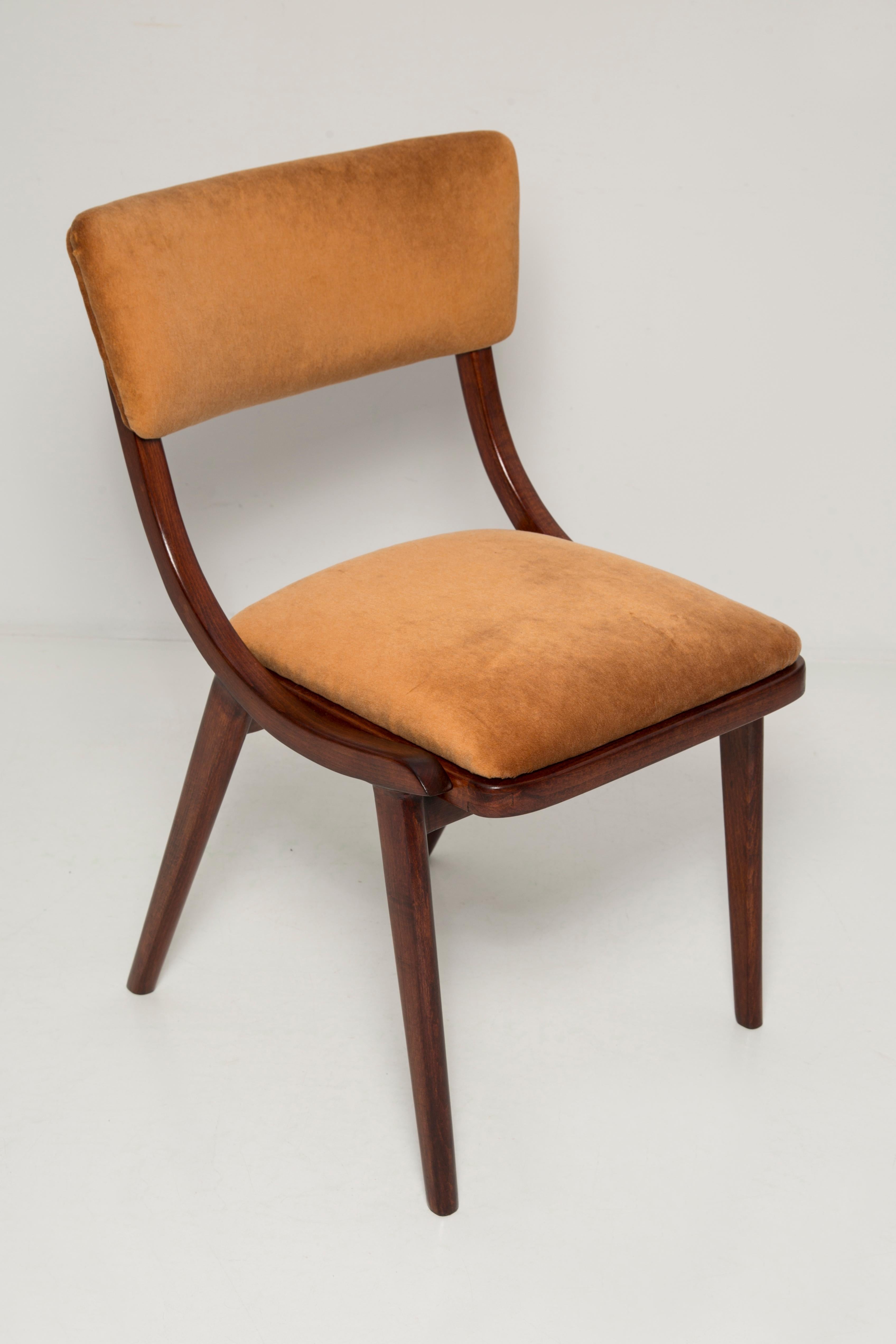 Hand-Crafted Eight Mid Century Modern Bumerang Chairs, Brown Beige Velvet, Poland, 1960s For Sale