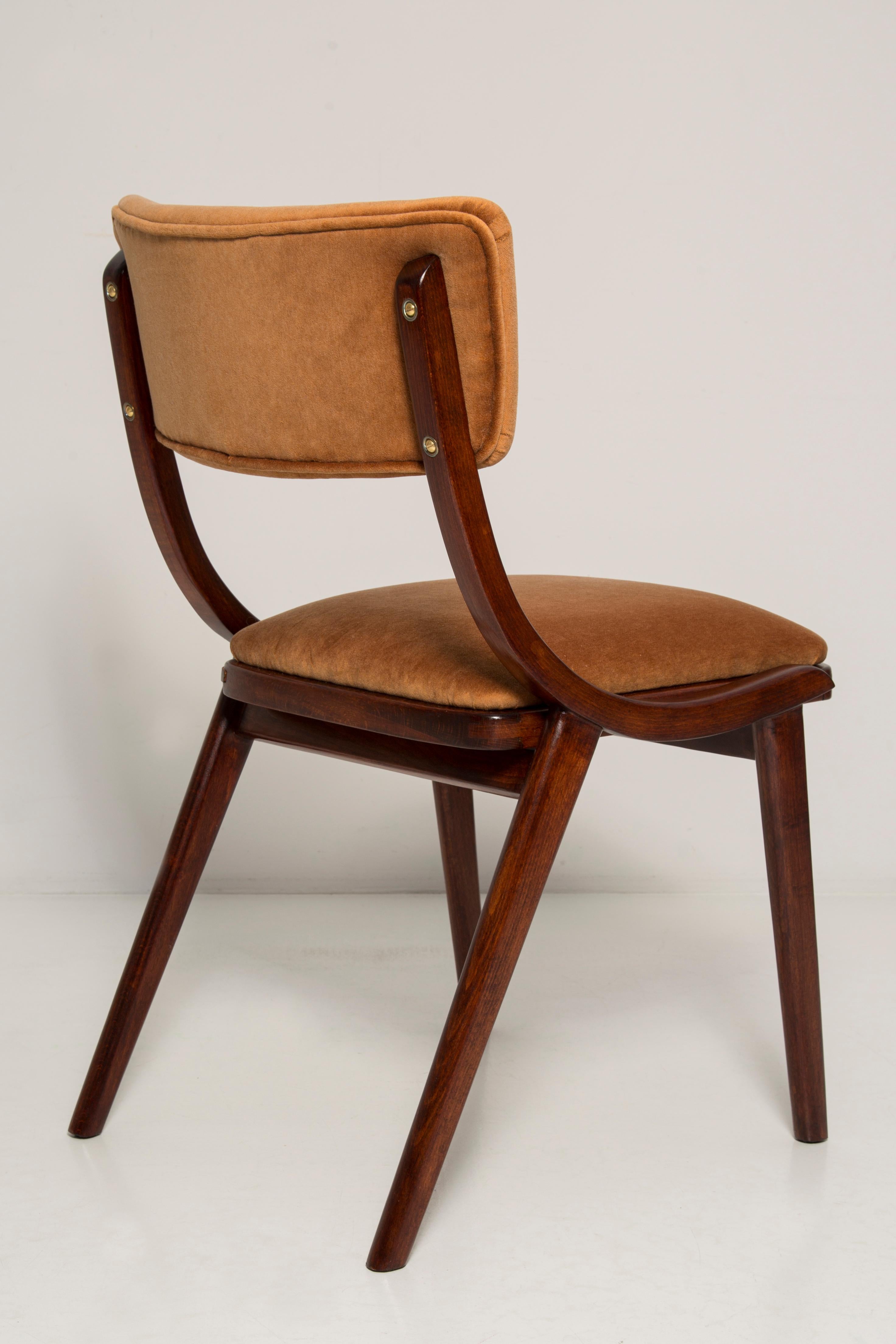20th Century Eight Mid Century Modern Bumerang Chairs, Brown Beige Velvet, Poland, 1960s For Sale