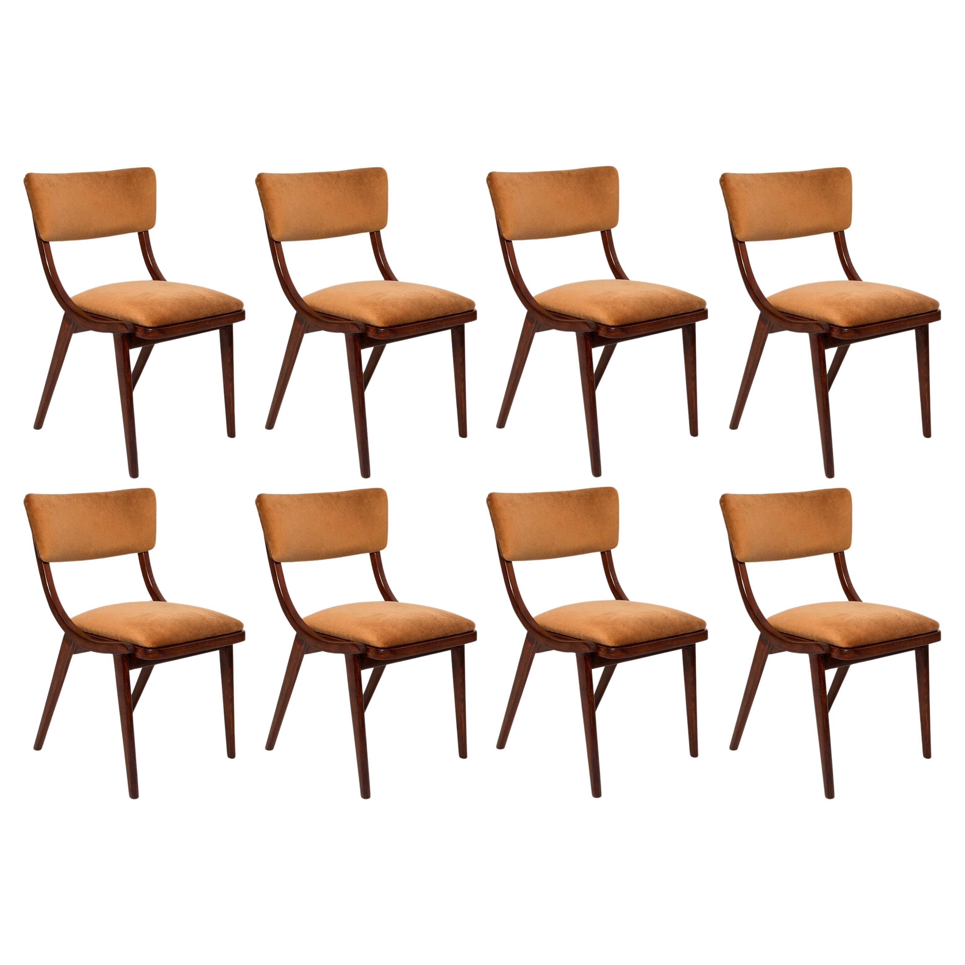 Eight Mid Century Modern Bumerang Chairs, Brown Beige Velvet, Poland, 1960s