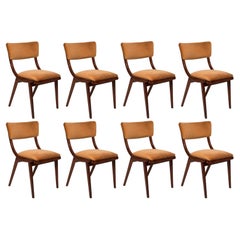 Huit chaises The Moderns Modernes Bumerang, velours Brown Beige, Pologne, années 1960