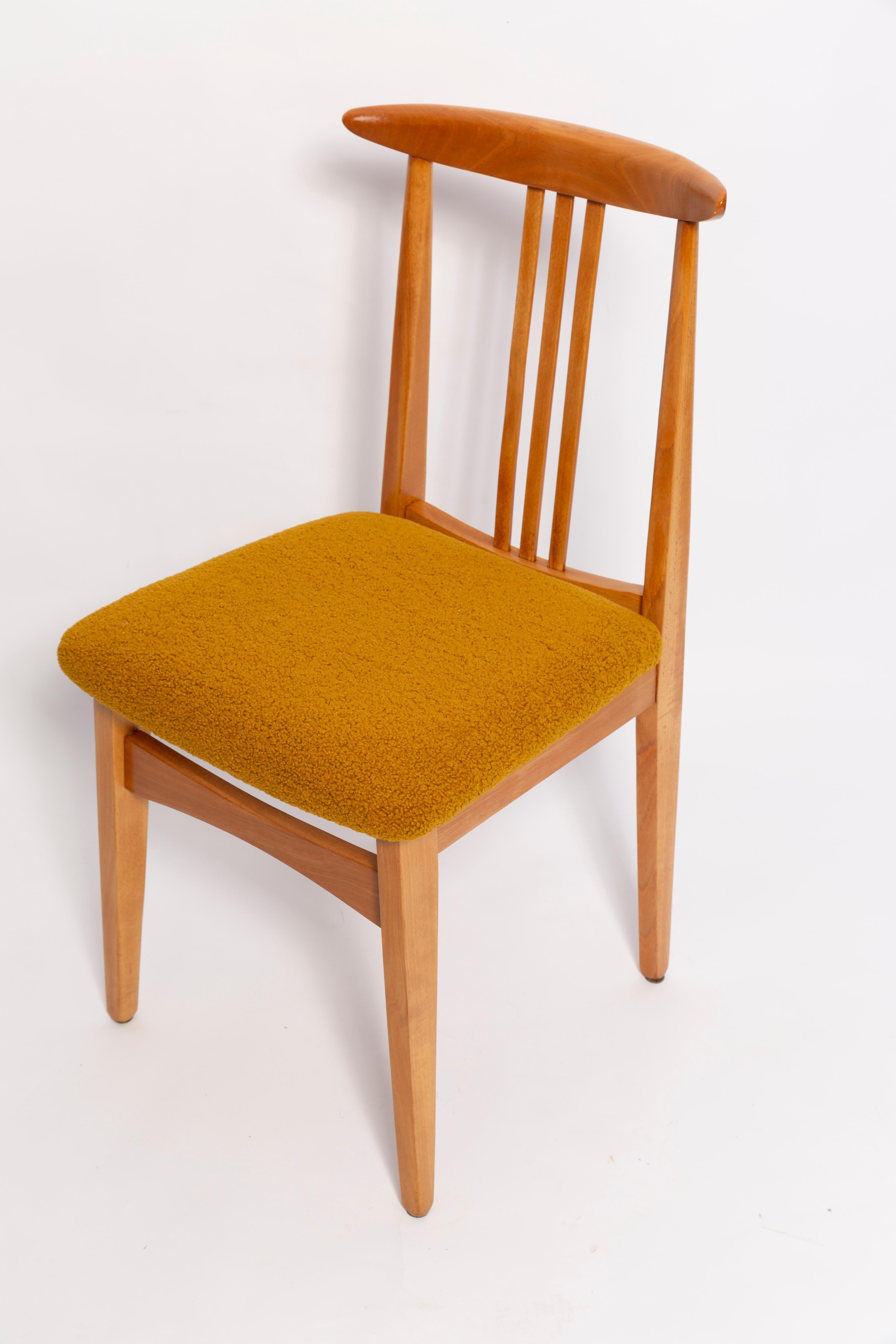 Polish Eight Mid-Century Ochre Boucle Chairs, Light Wood, M. Zielinski, Europe, 1960s For Sale