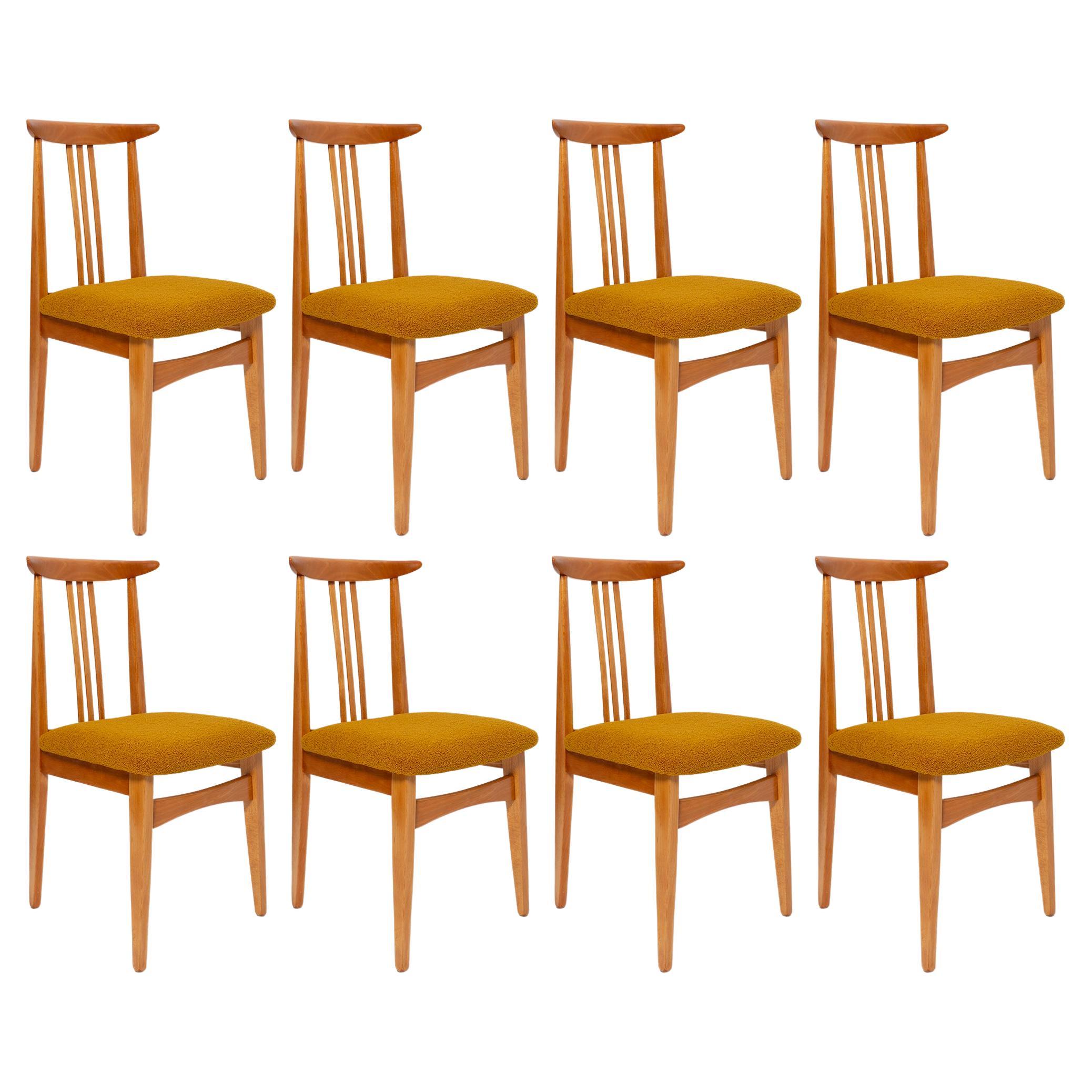 Eight Mid-Century Ochre Boucle Chairs, Light Wood, M. Zielinski, Europe, 1960s For Sale