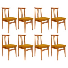 Vintage Eight Mid-Century Ochre Boucle Chairs, Light Wood, M. Zielinski, Europe, 1960s