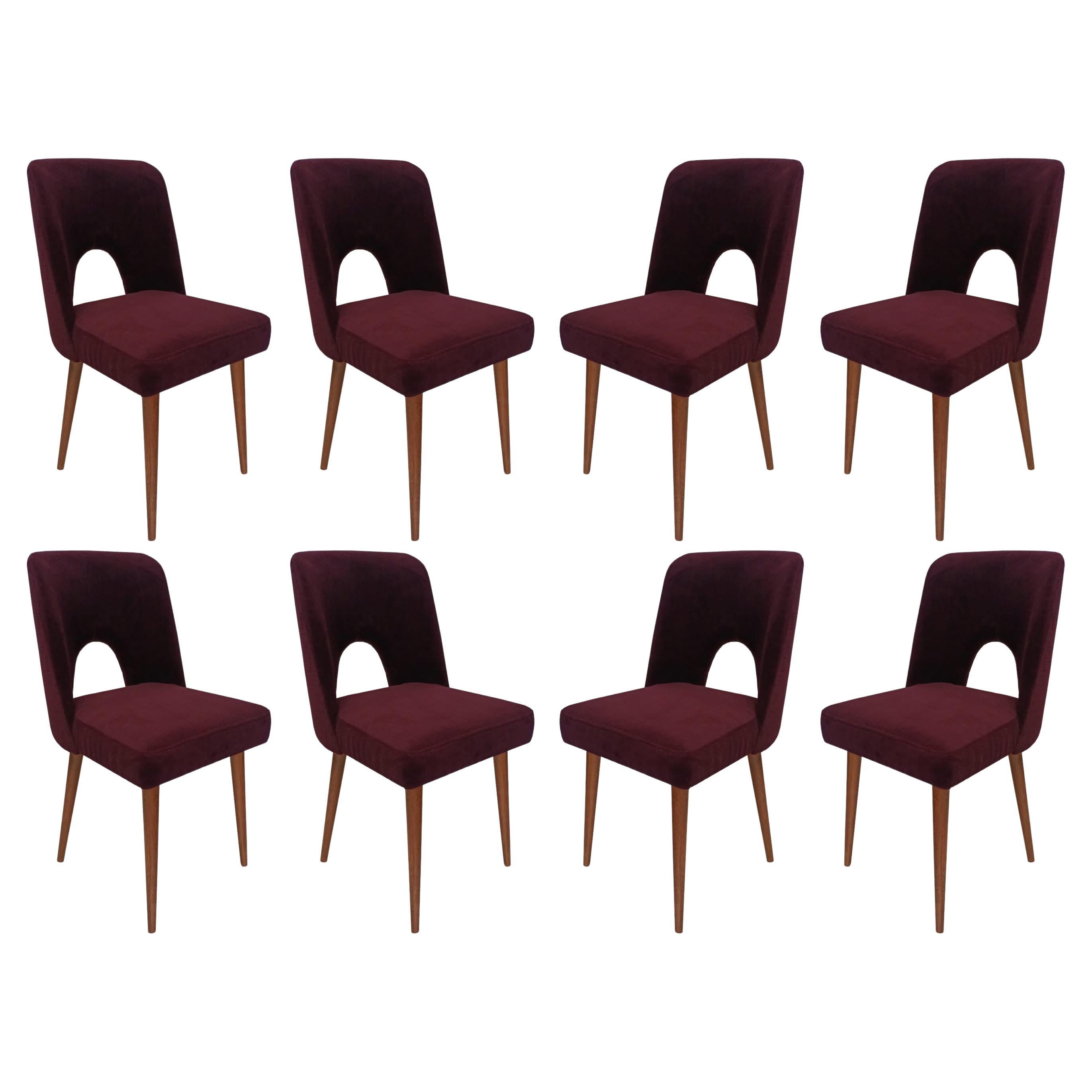 Eight Mid Century Shell Chairs, Purple Velvet Alexander, Dedar, Europe, 1960s