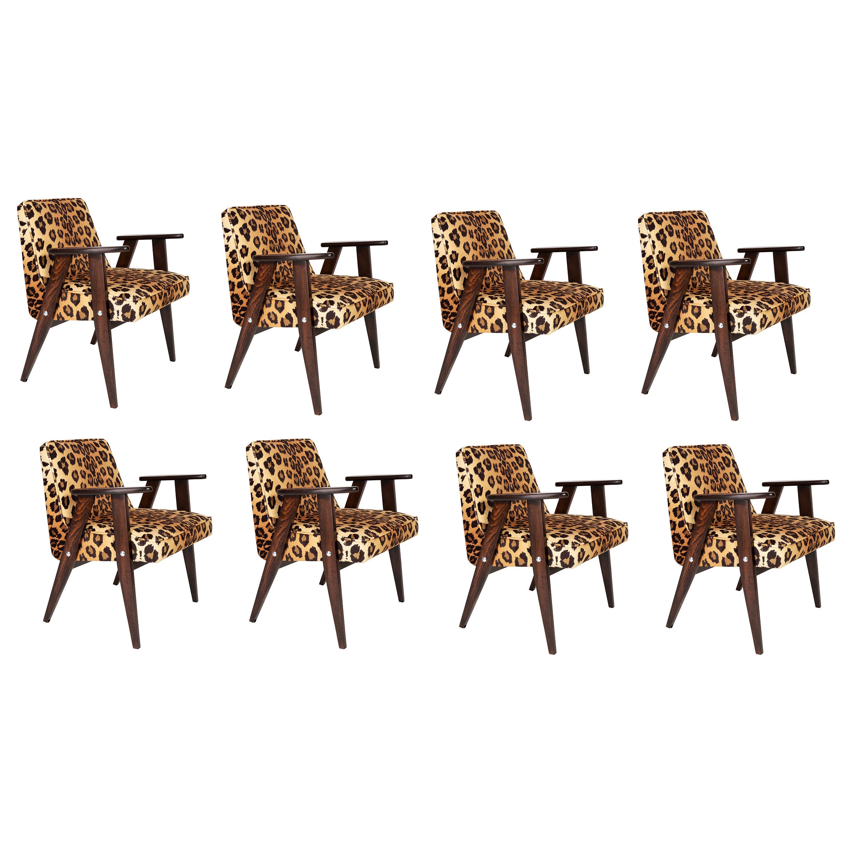 Ocho sillones 366 de mediados de siglo en terciopelo con estampado de leopardo, Jozef Chierowski, años 60