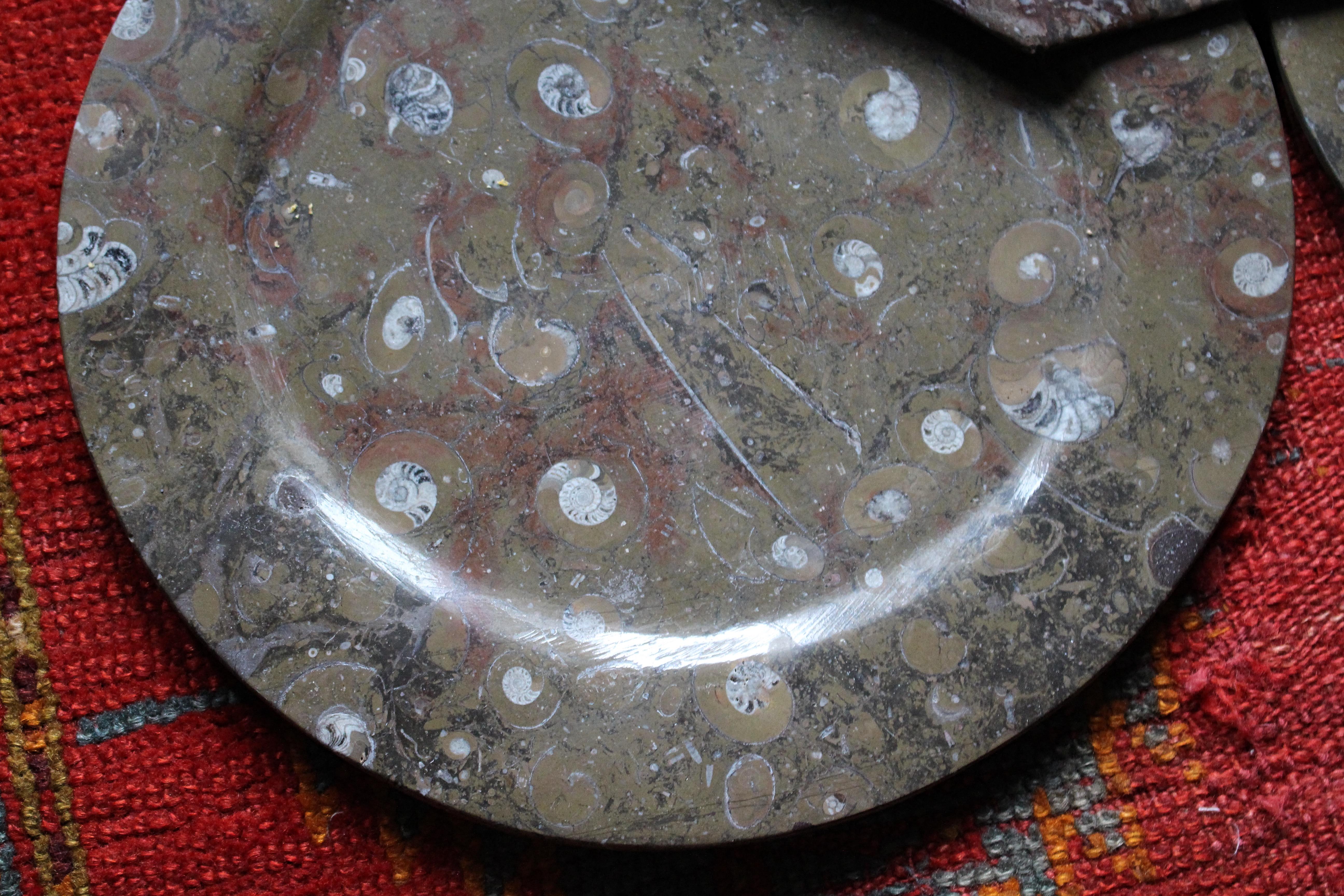 Huit assiettes à fossiles d'orthocères et d'ammonites Plateaux Chargeurs Histoire Naturelle en vente 4