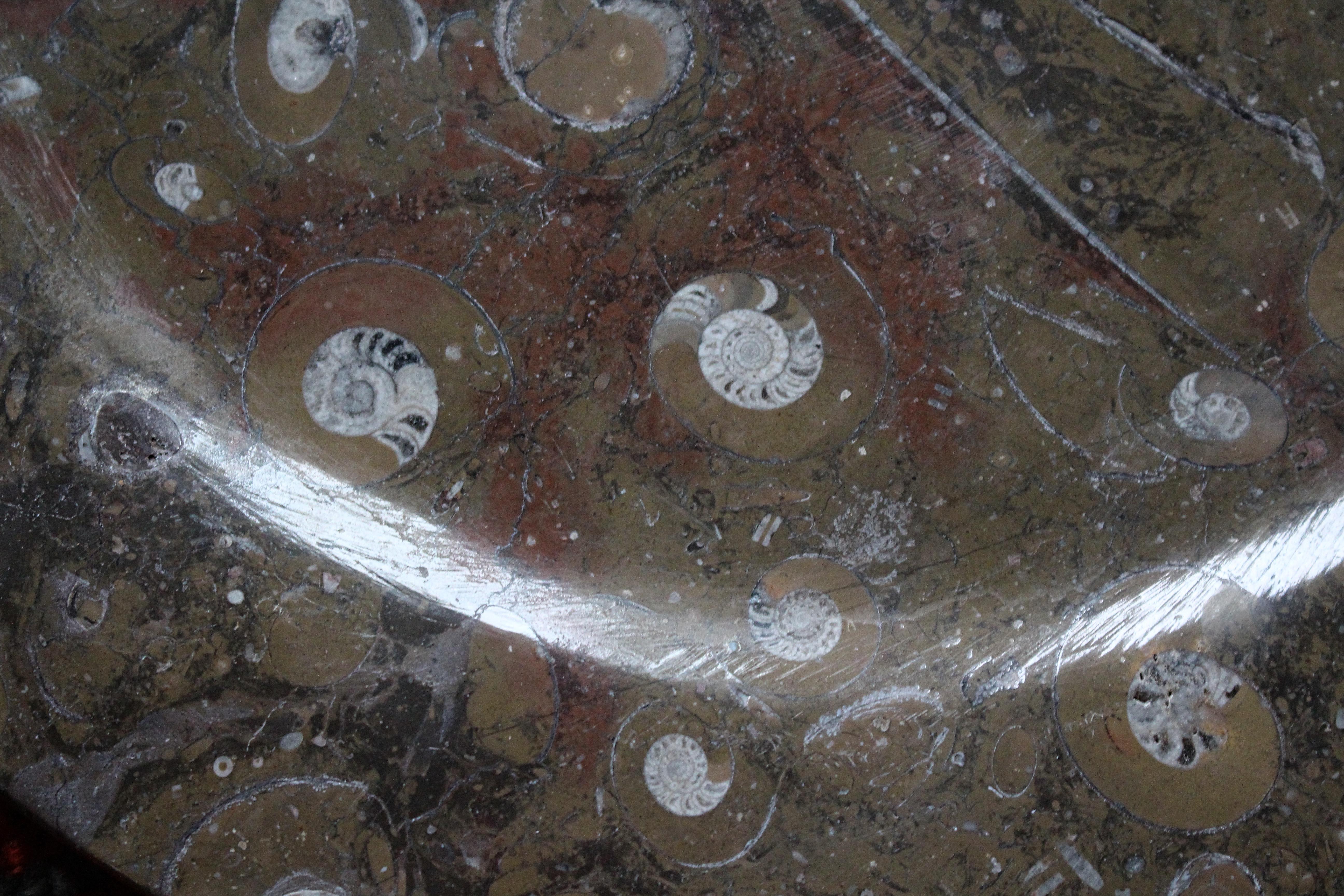 Huit assiettes à fossiles d'orthocères et d'ammonites Plateaux Chargeurs Histoire Naturelle en vente 7