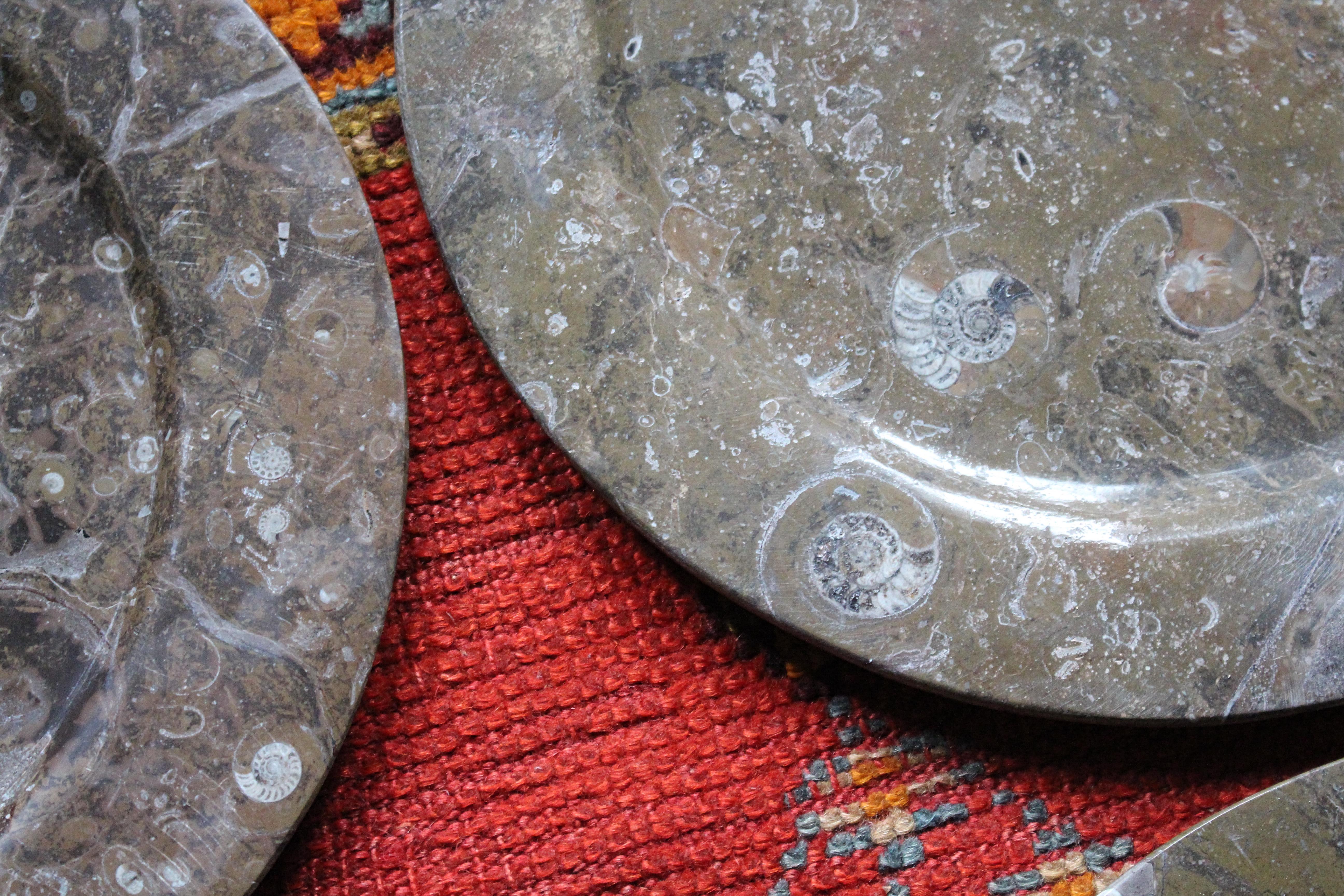 Huit assiettes à fossiles d'orthocères et d'ammonites Plateaux Chargeurs Histoire Naturelle en vente 9
