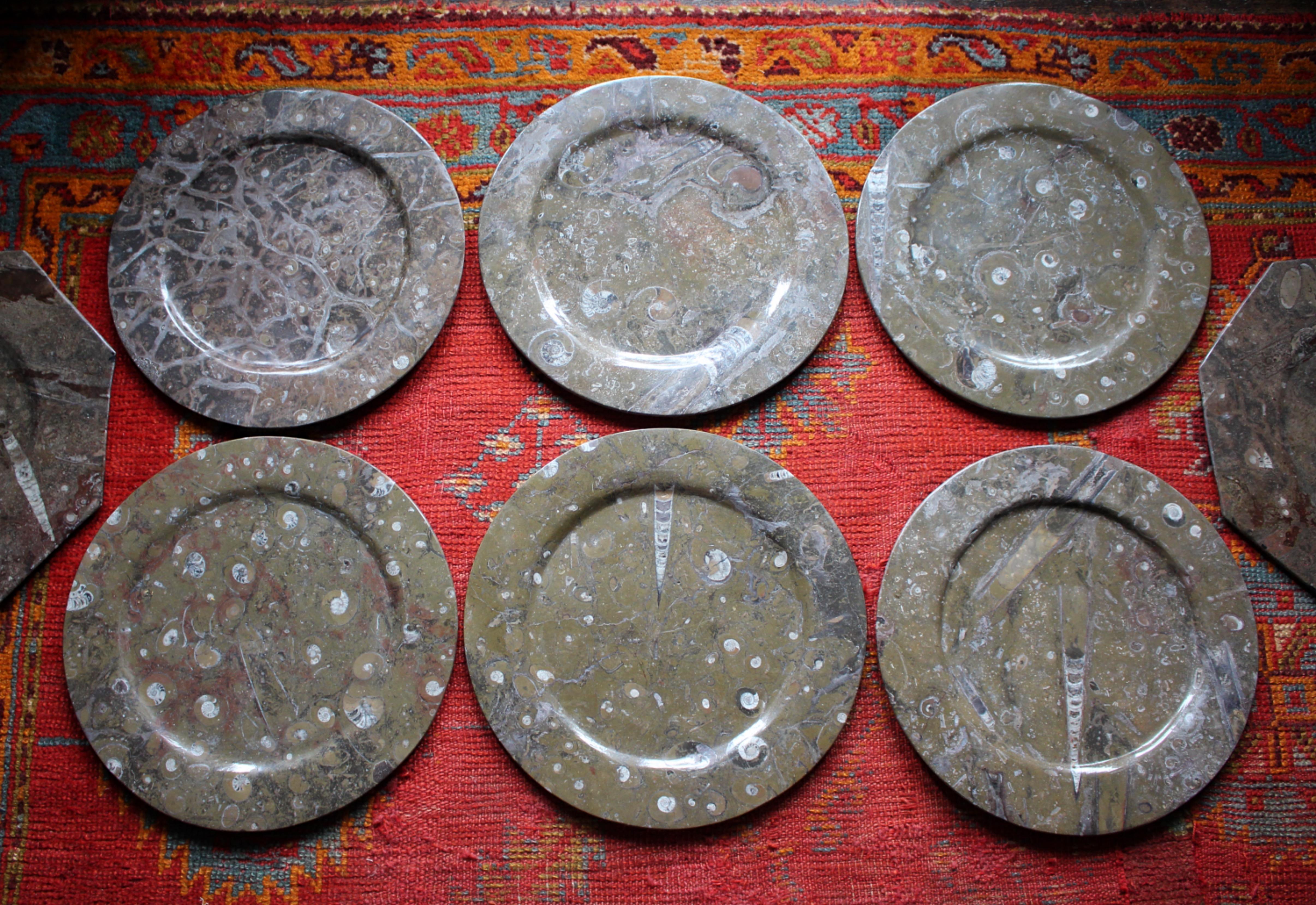 Huit assiettes à fossiles d'orthocères et d'ammonites Plateaux Chargeurs Histoire Naturelle en vente 10