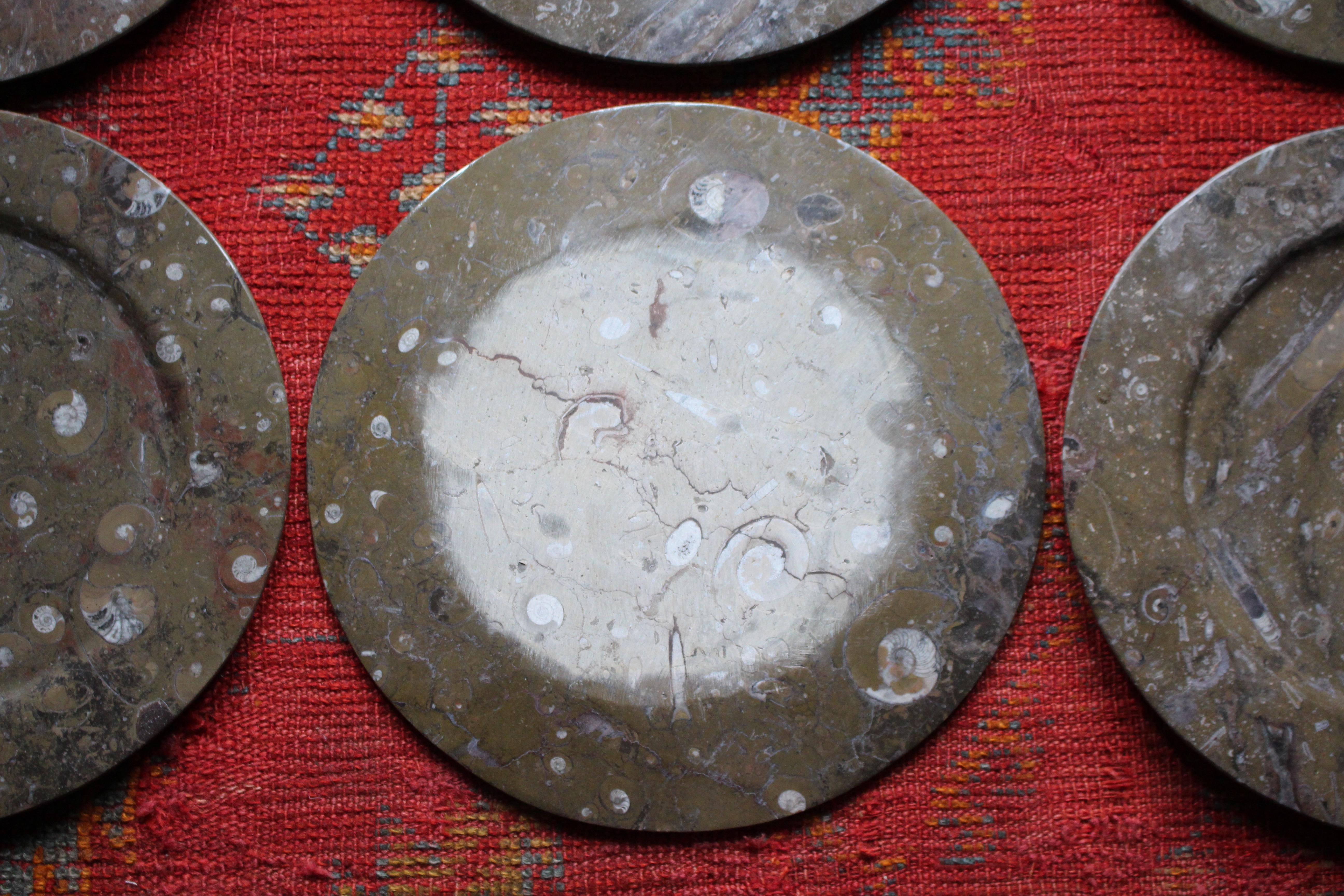 Huit assiettes à fossiles d'orthocères et d'ammonites Plateaux Chargeurs Histoire Naturelle en vente 11