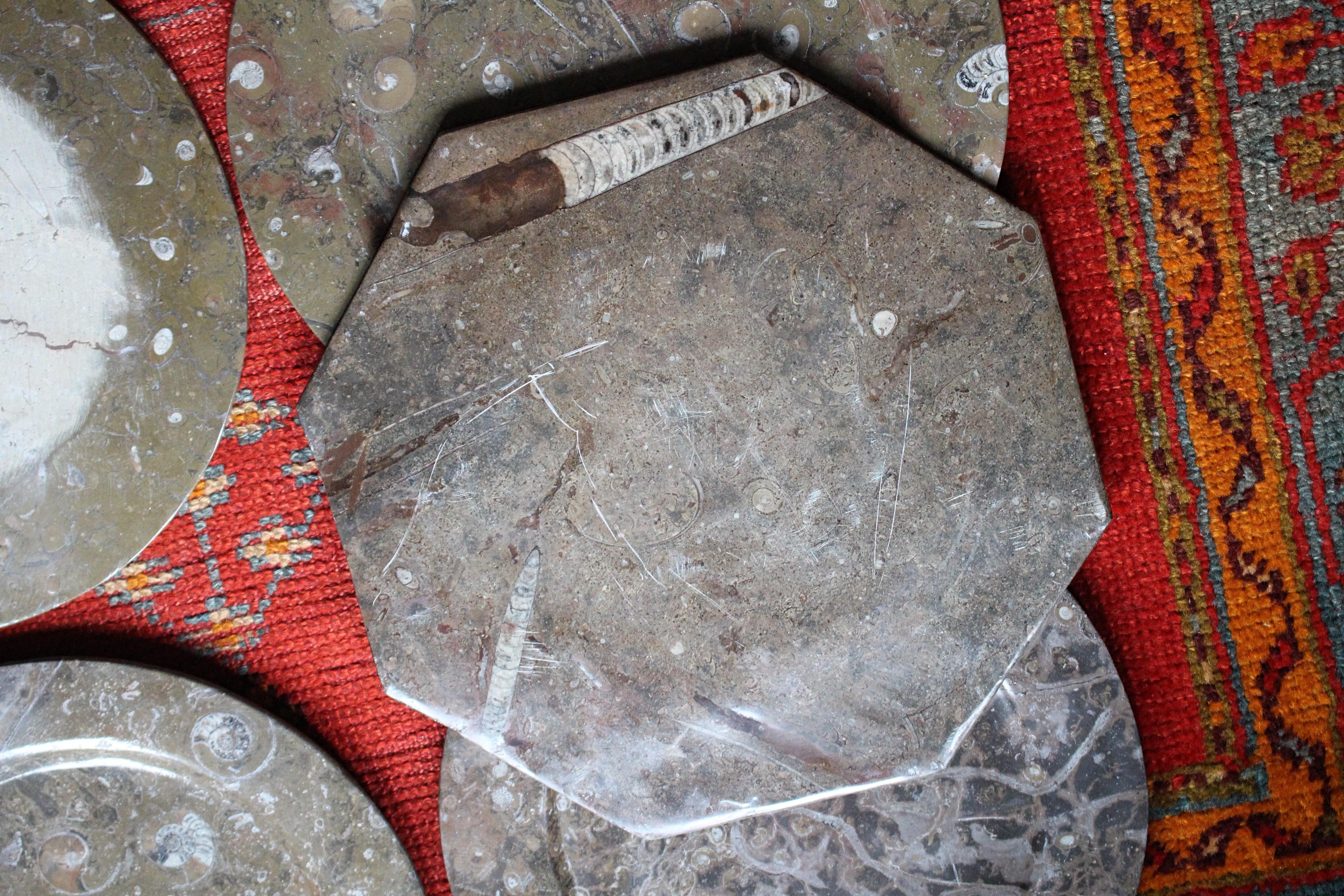 Huit assiettes à fossiles d'orthocères et d'ammonites Plateaux Chargeurs Histoire Naturelle en vente 12
