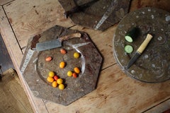 Eight Orthoceras & Ammonite Fossil Plates Platters Chargers Natural History