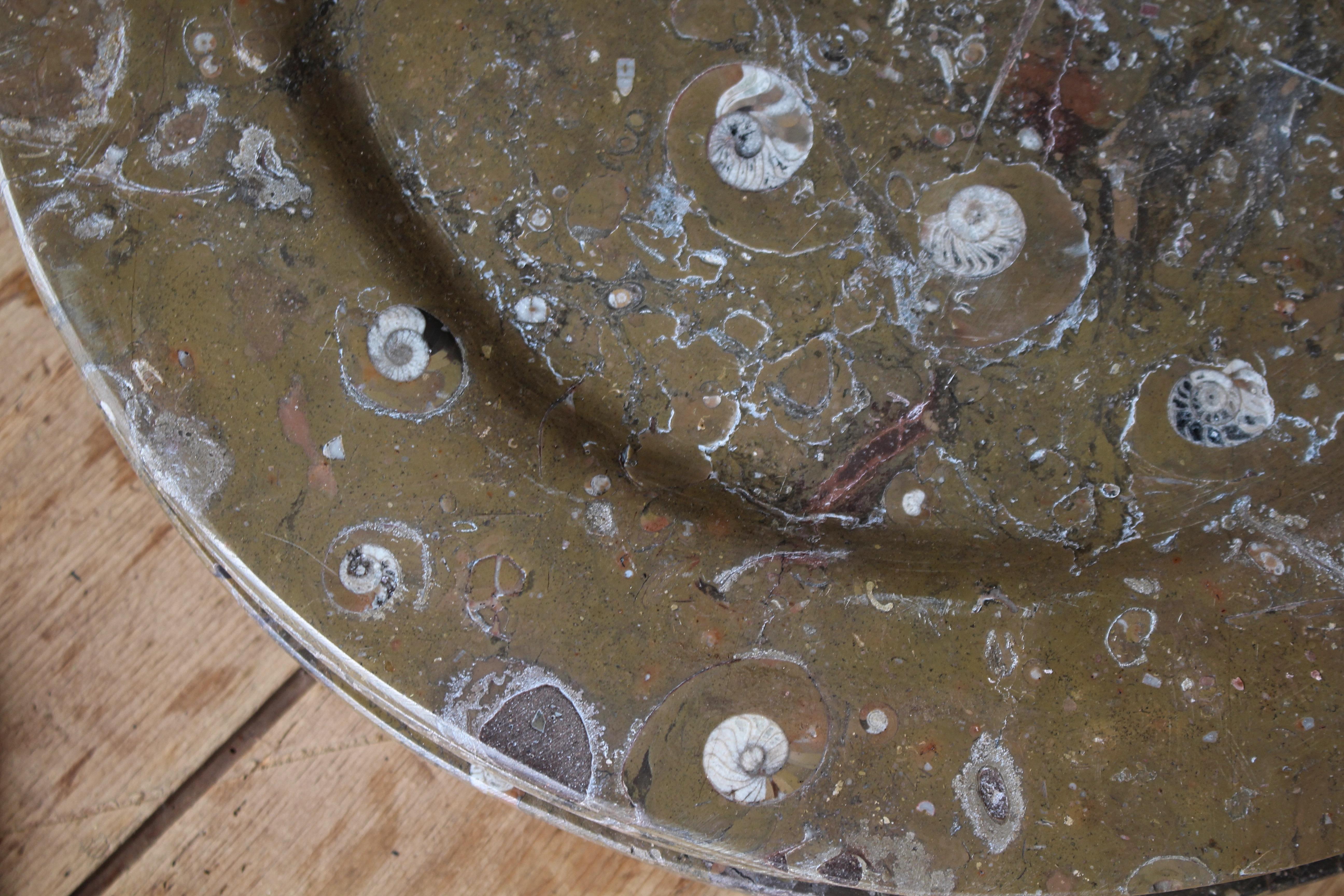 Marocain Huit assiettes à fossiles d'orthocères et d'ammonites Plateaux Chargeurs Histoire Naturelle en vente