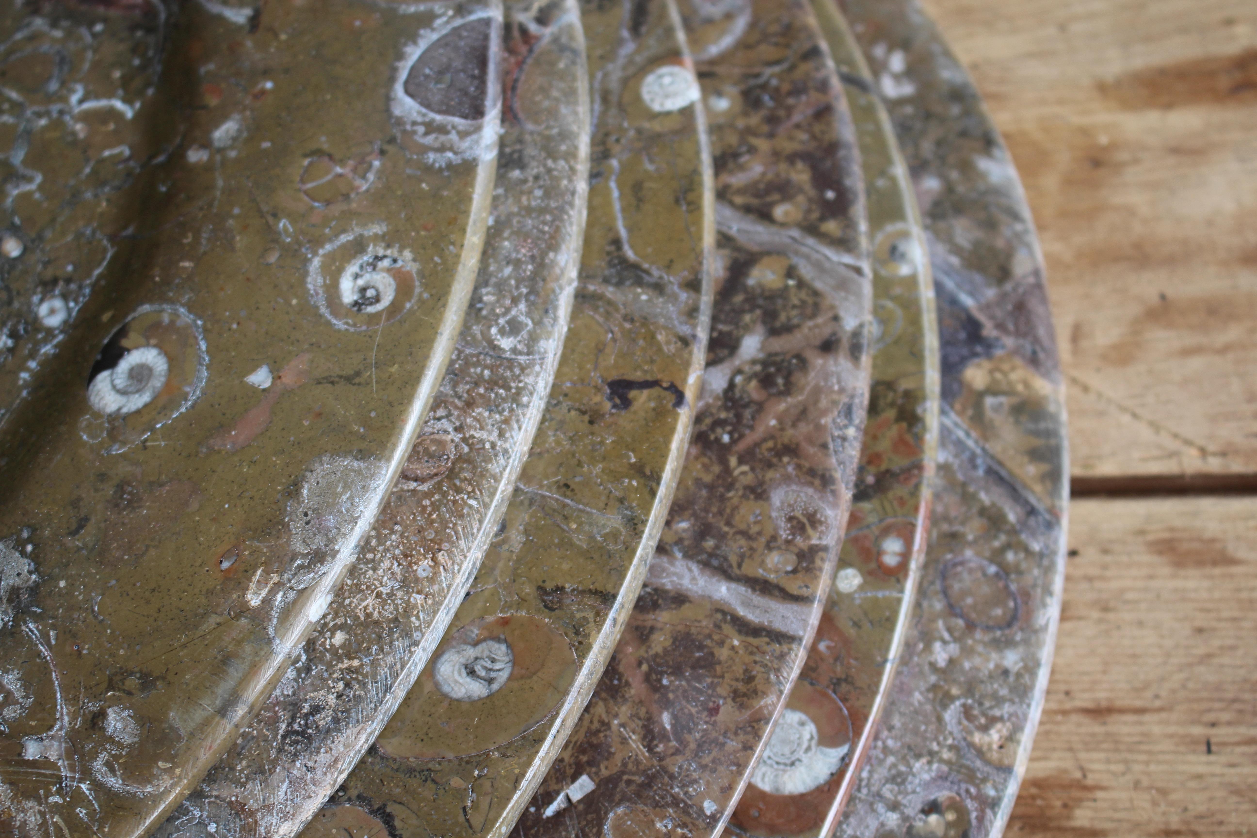 Pierre Huit assiettes à fossiles d'orthocères et d'ammonites Plateaux Chargeurs Histoire Naturelle en vente