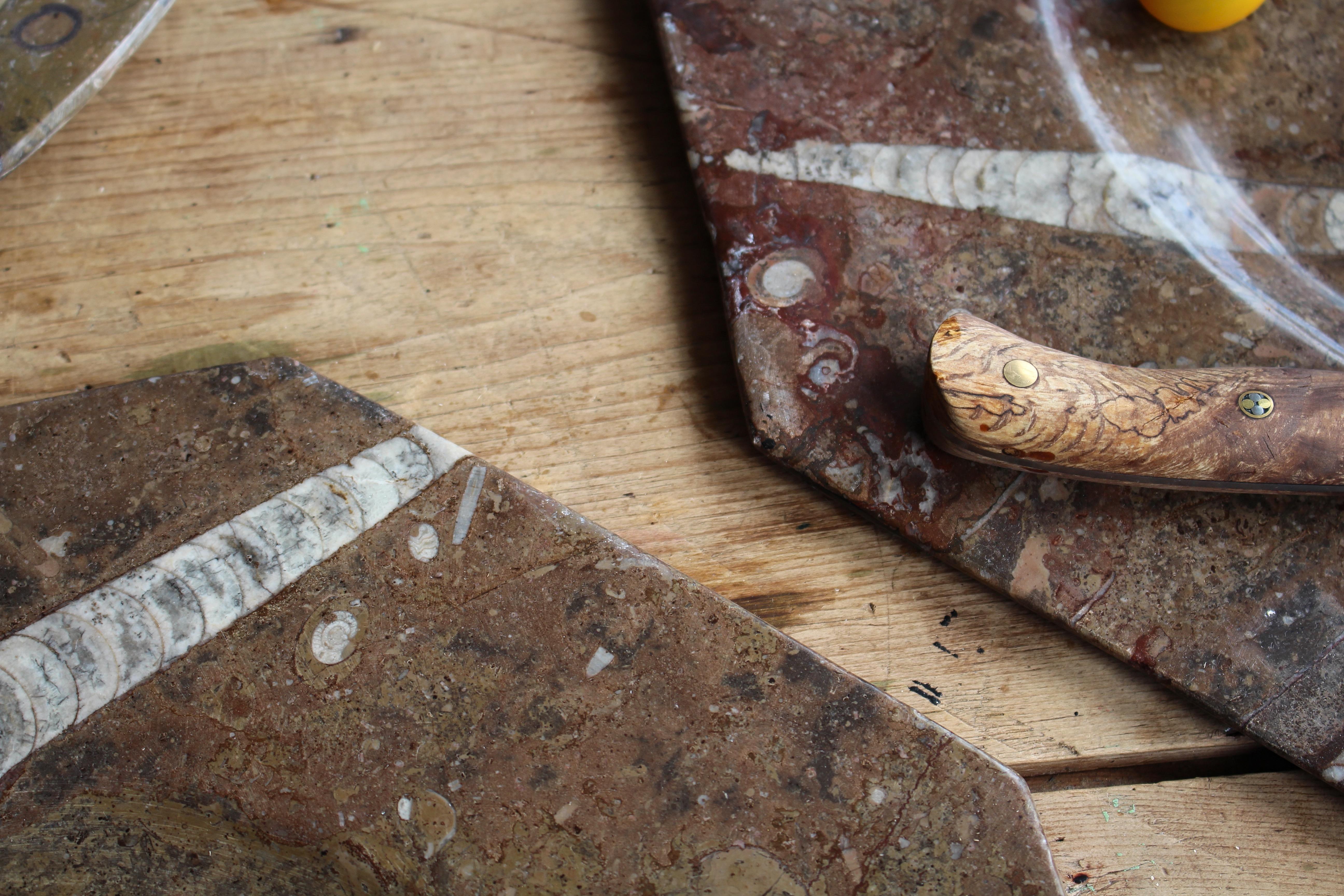 Huit assiettes à fossiles d'orthocères et d'ammonites Plateaux Chargeurs Histoire Naturelle en vente 1