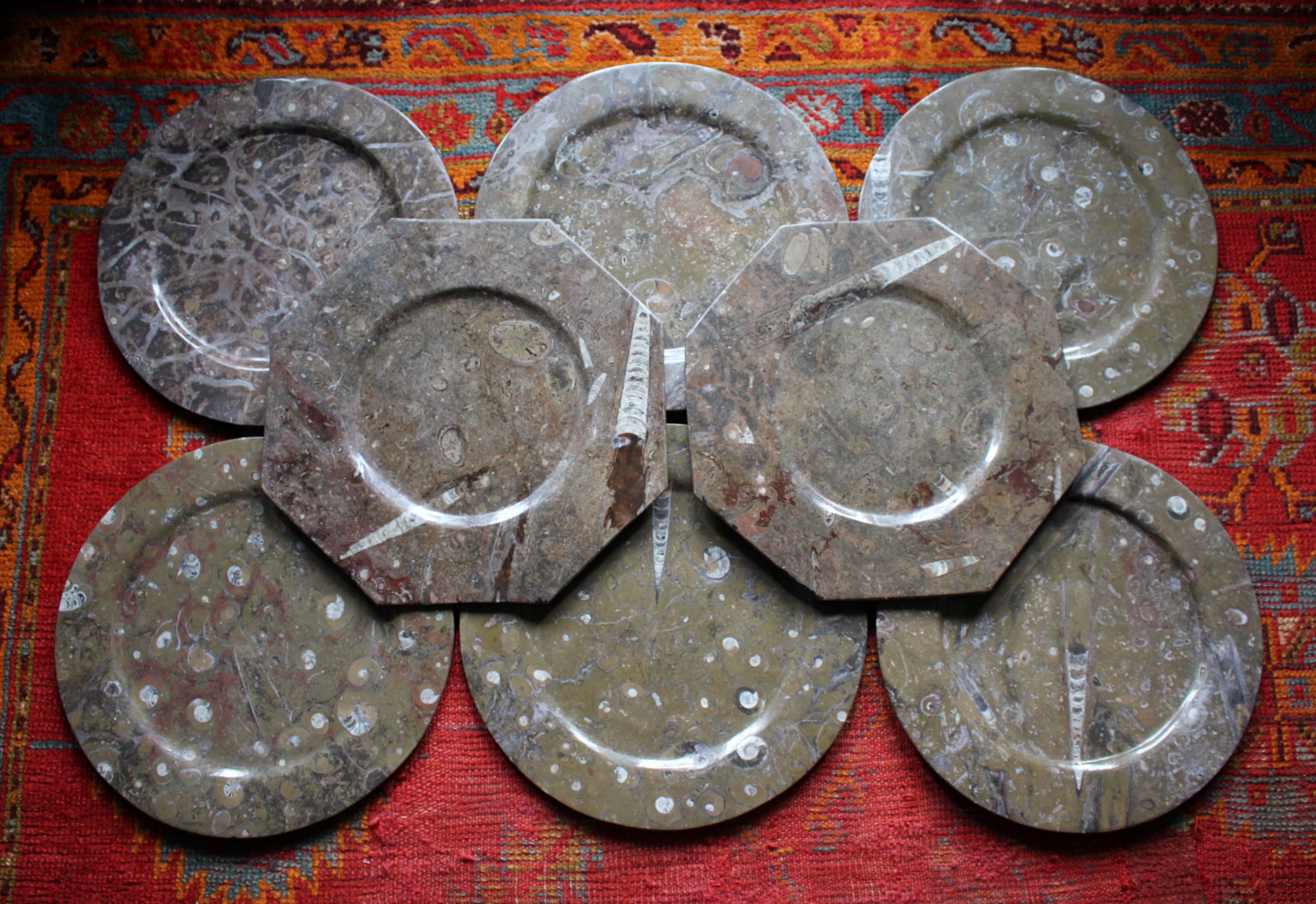 Huit assiettes à fossiles d'orthocères et d'ammonites Plateaux Chargeurs Histoire Naturelle en vente 2