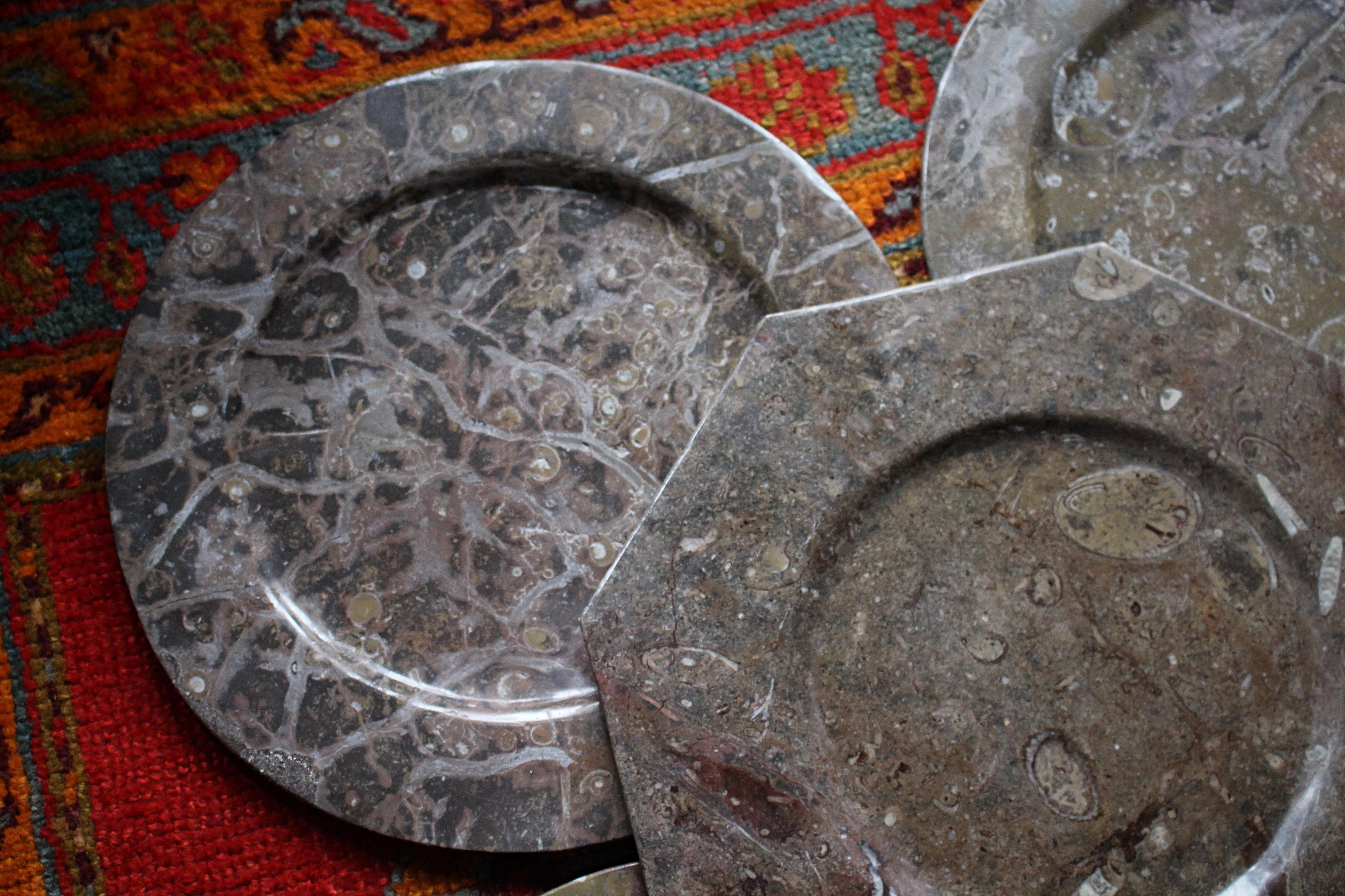 Huit assiettes à fossiles d'orthocères et d'ammonites Plateaux Chargeurs Histoire Naturelle en vente 3