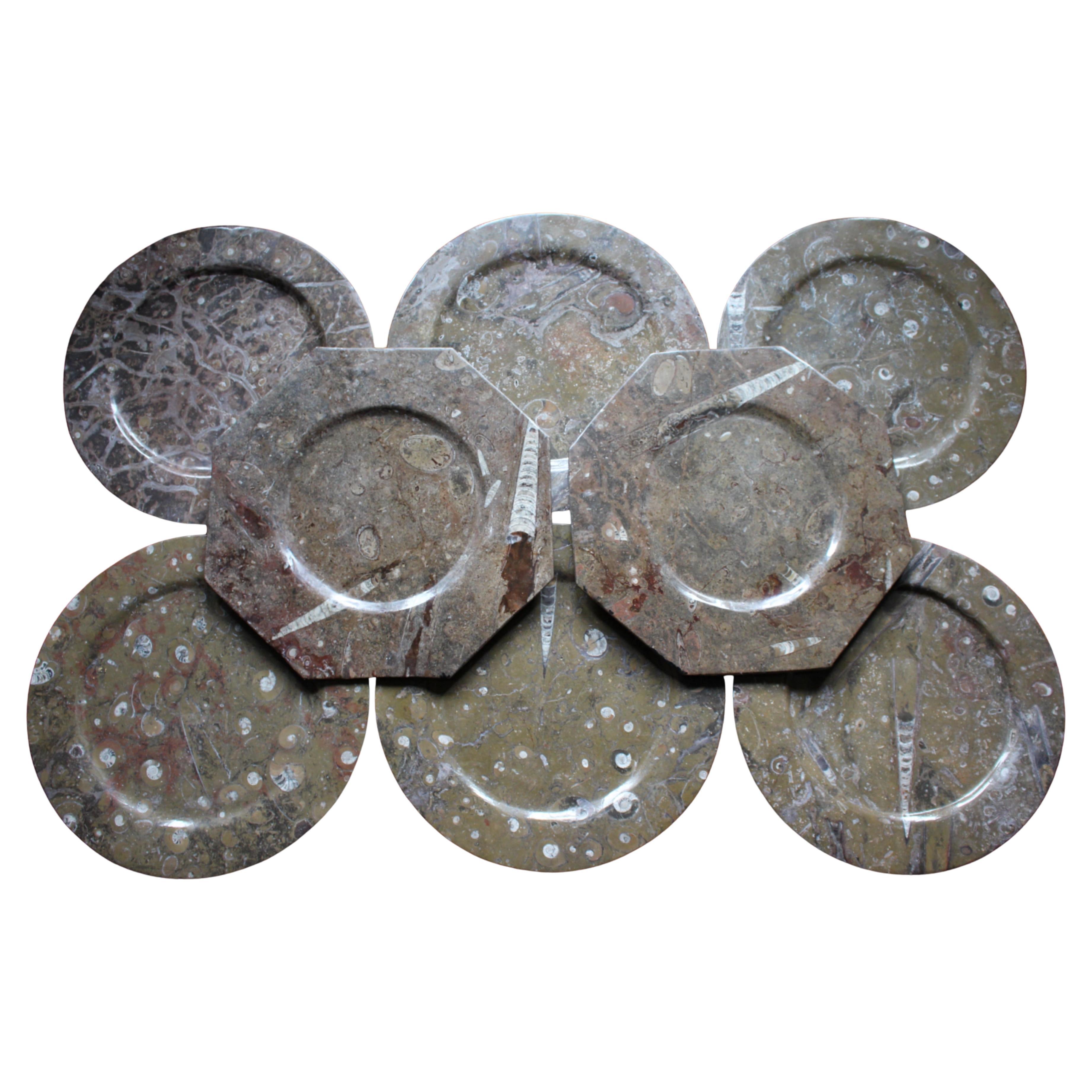Huit assiettes à fossiles d'orthocères et d'ammonites Plateaux Chargeurs Histoire Naturelle en vente