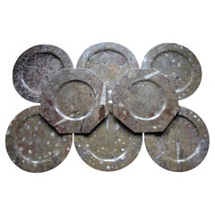 Ocho Platos Fósiles de Ortoceras y Ammonites Cargadores Historia Natural