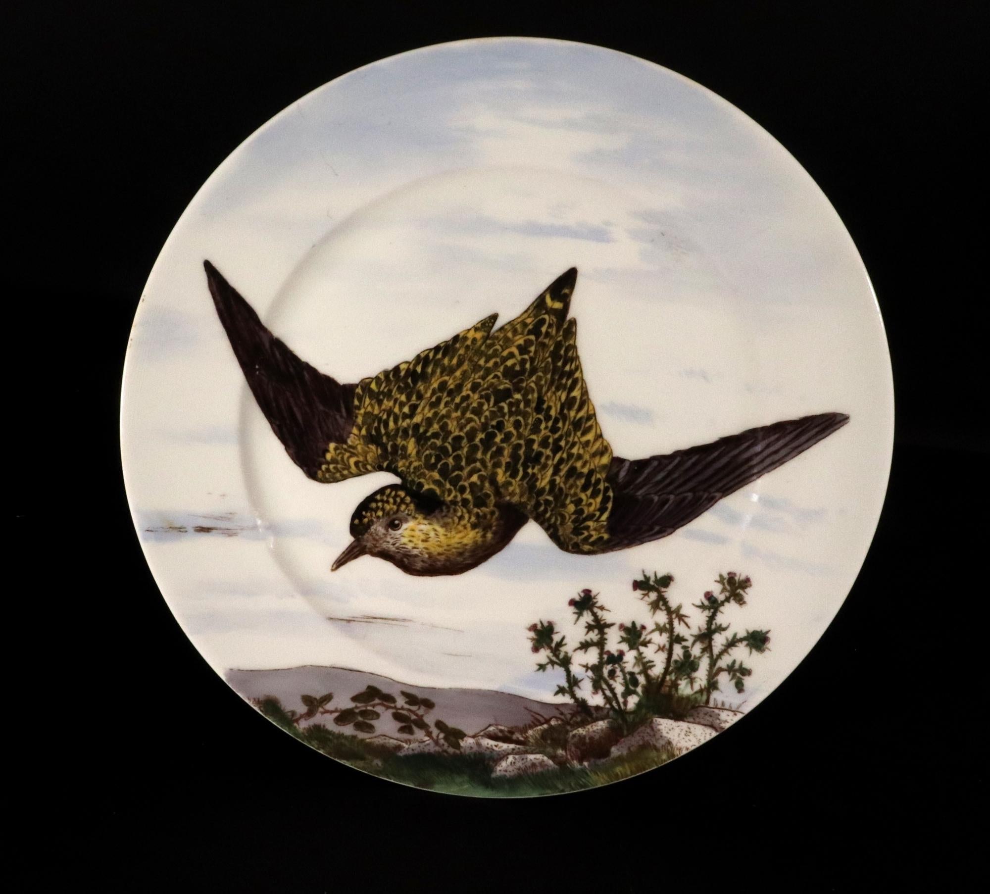 Eighteen English Porcelain Game Bird Plates, Designed by Edward Kennard 6