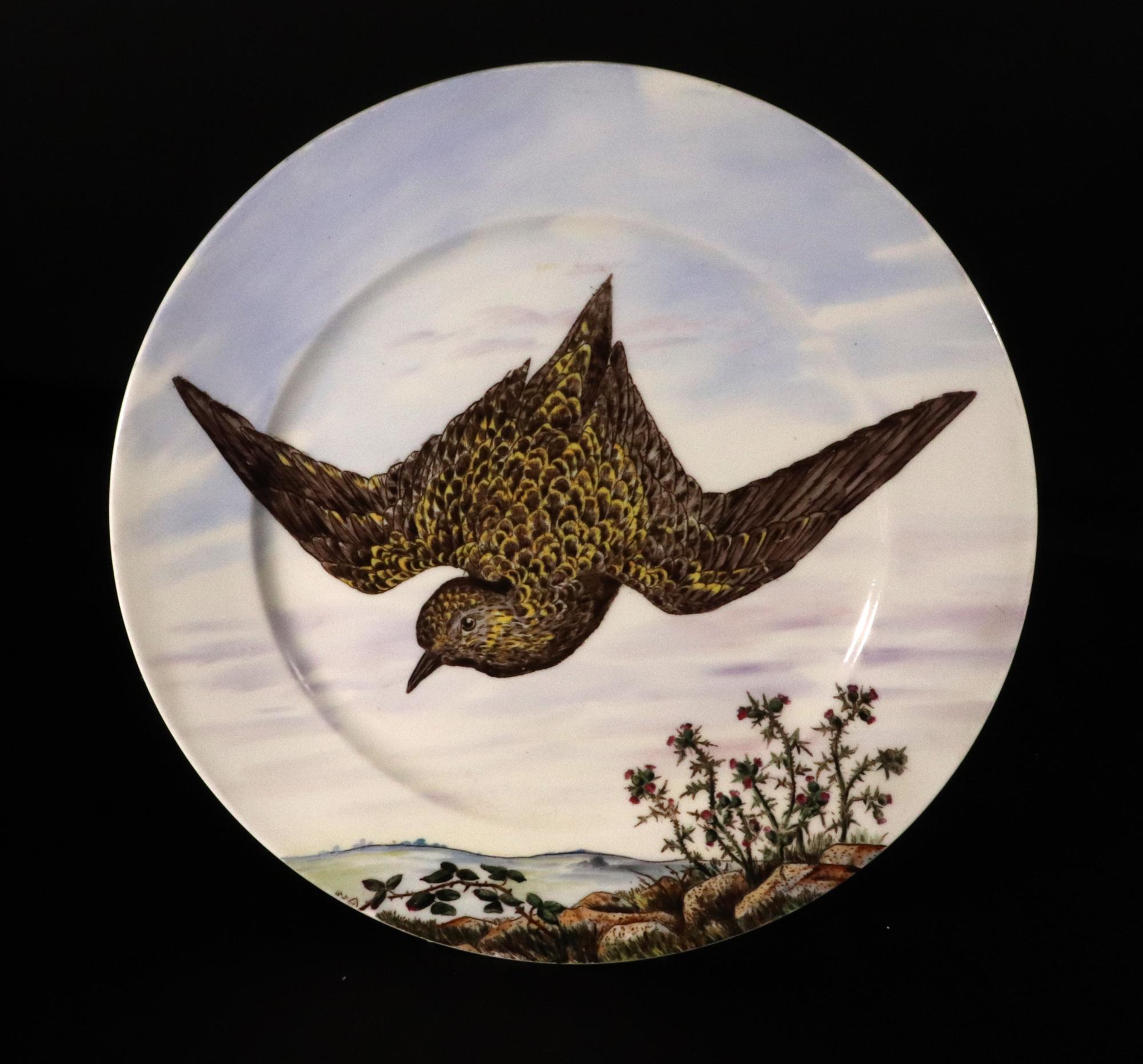 Eighteen English Porcelain Game Bird Plates, Designed by Edward Kennard 8
