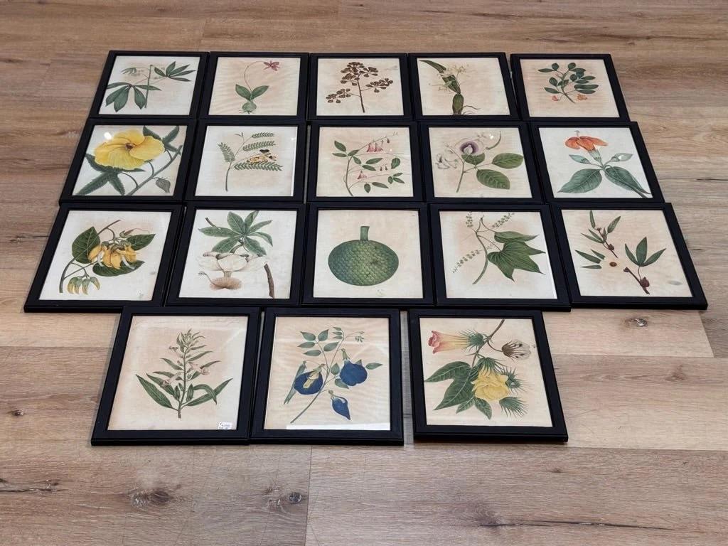 Inglese Diciotto illustrazioni botaniche inglesi ad acquerello con cornice in vendita