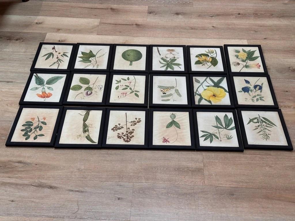 Diciotto illustrazioni botaniche inglesi ad acquerello con cornice In condizioni buone in vendita a Charlottesville, VA