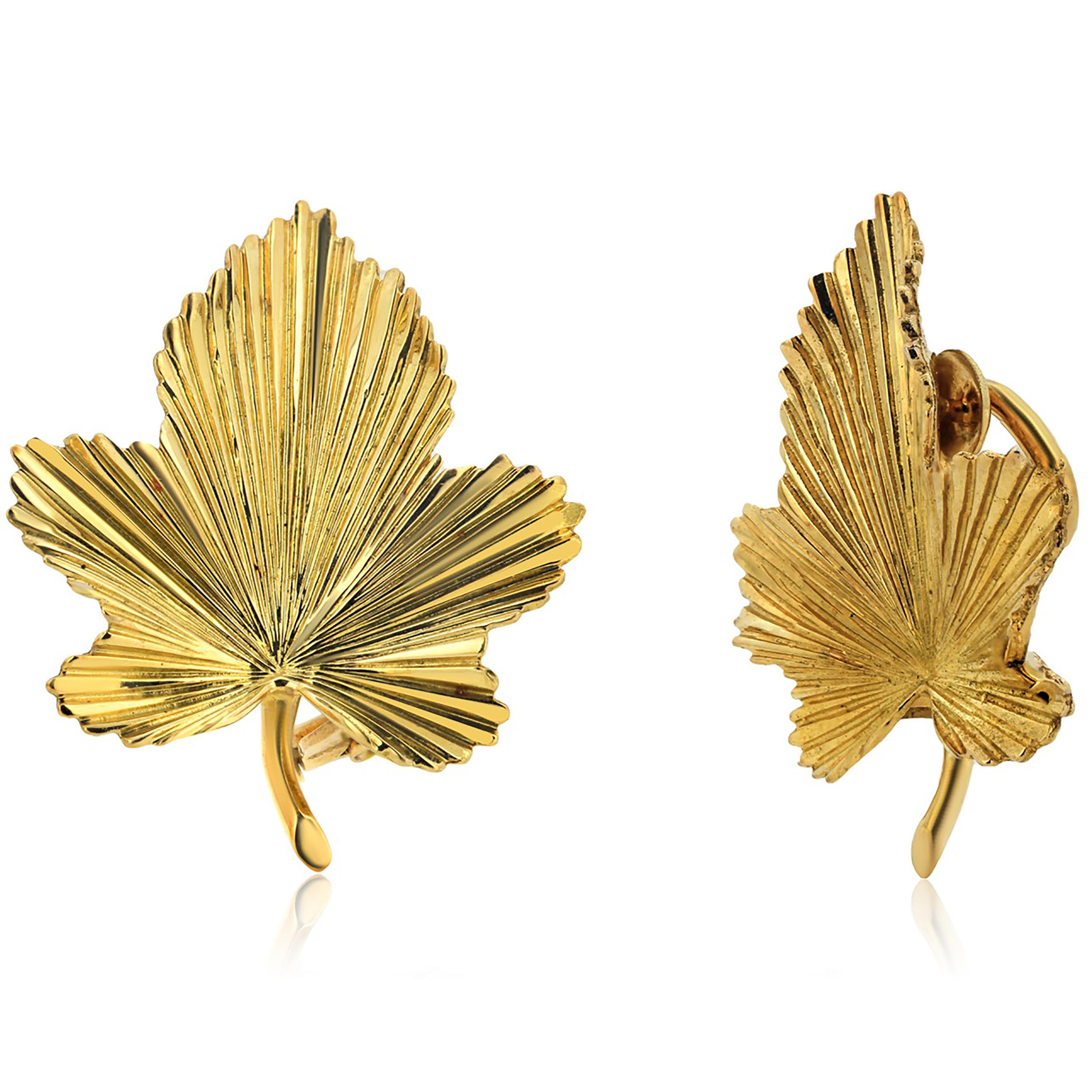 leaf design earrings in gold