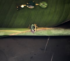 Eighteen Karat Yellow Gold Lavender Contemporary Ring with Green Tourmaline