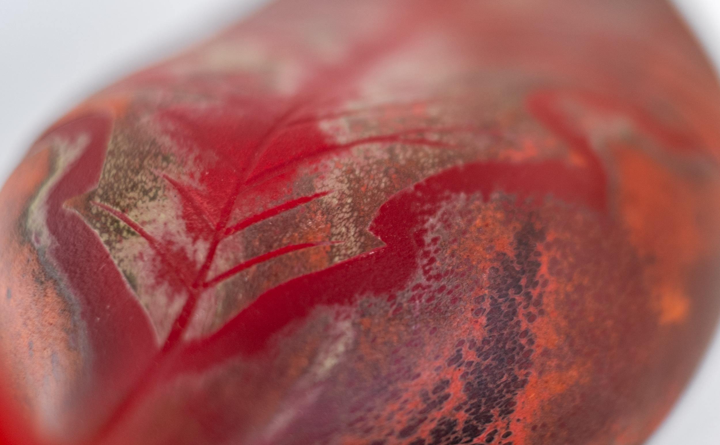 Esta escultura contemporánea de una hoja de vidrio soplado, hecha a mano por la artista Eileen Gordon.

La hoja de color rojo intenso y morado de la artista australiana del vidrio Eileen Gordon captura la encantadora forma orgánica de una hoja