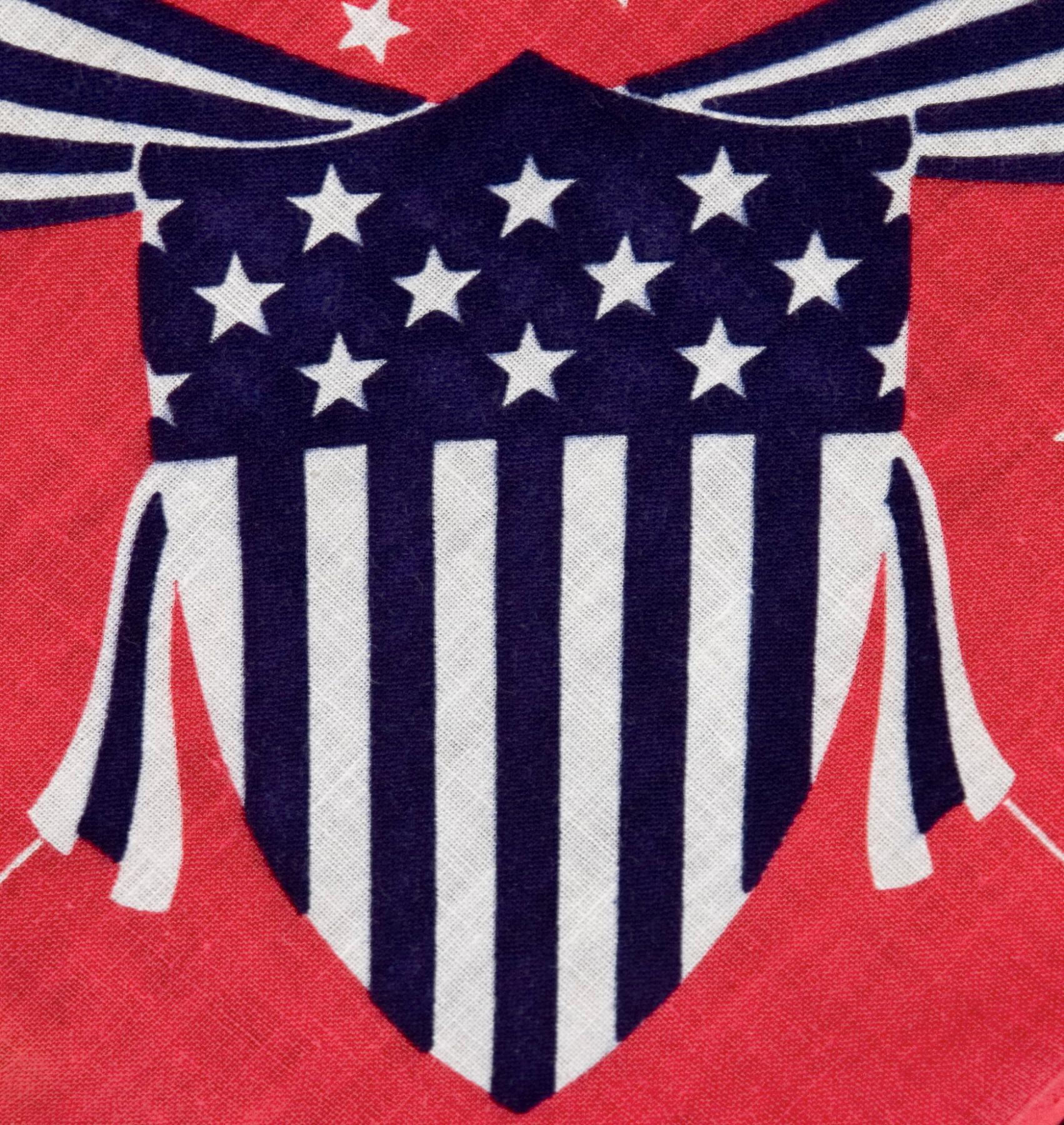 Pañuelo de campaña presidencial estilo retrato de Eisenhower en 1952 en Bueno estado para la venta en York County, PA
