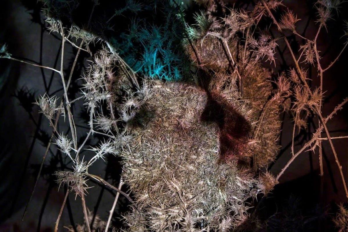 Eitan Vitkon Figurative Photograph – Küssen trotz alledem