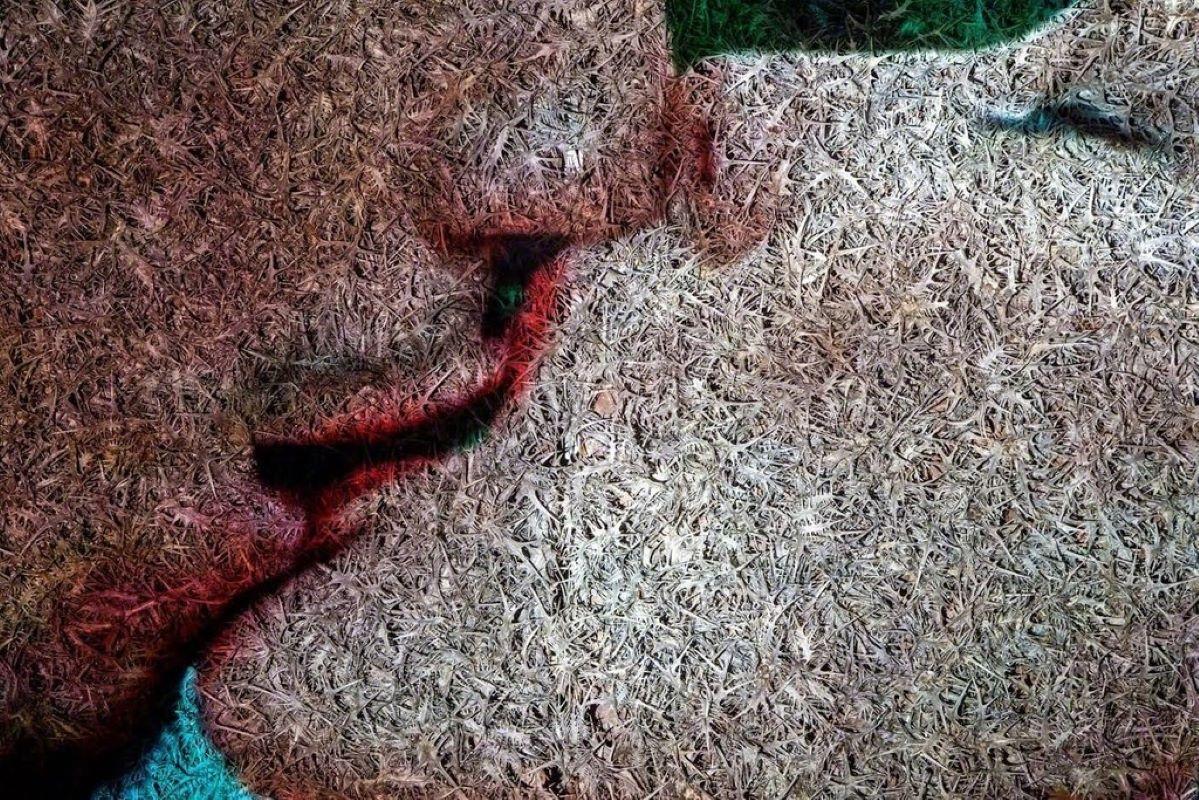 Eitan Vitkon Abstract Photograph – Kissen mit roten Lippen