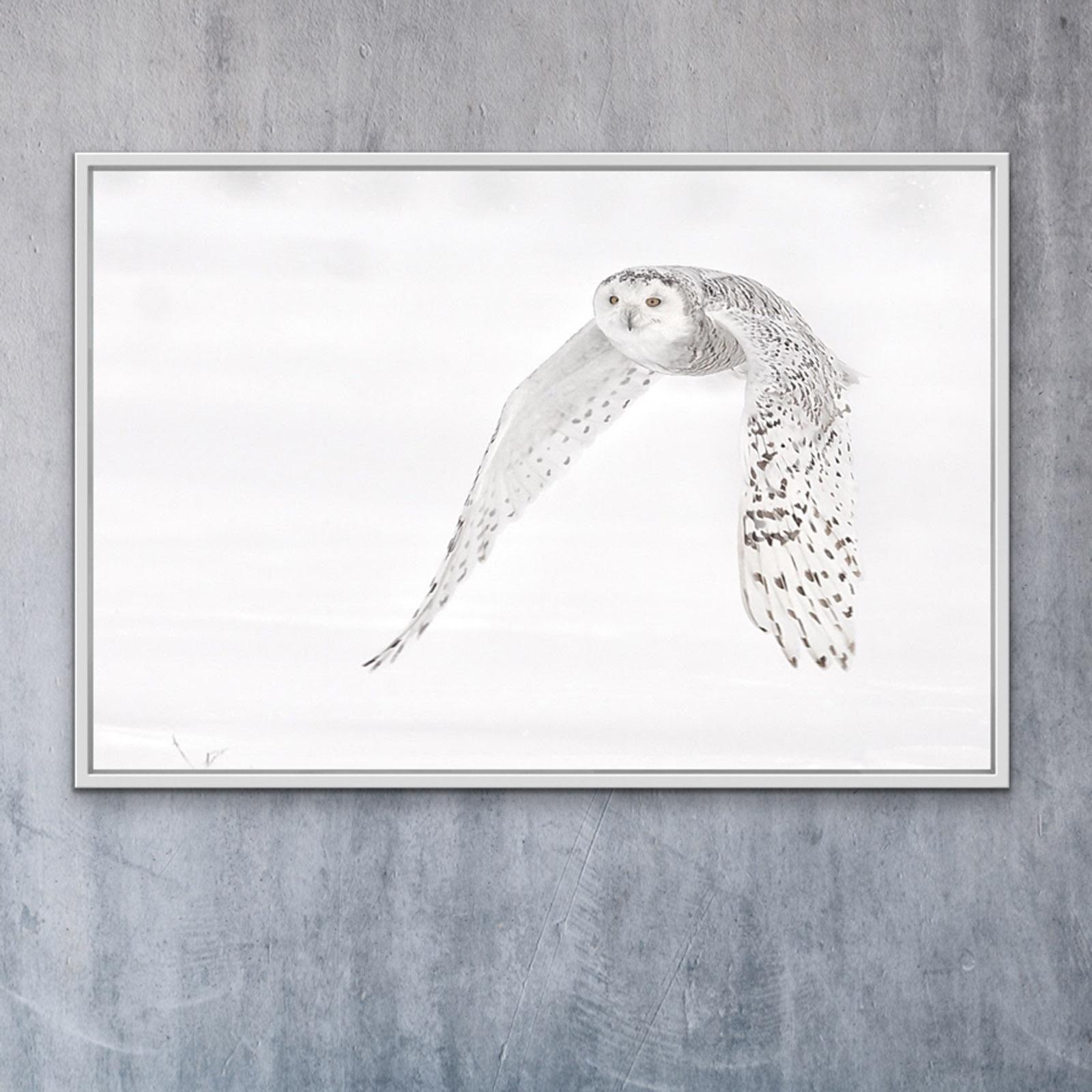 Spektakulär (Grau), Animal Print, von Ejaz Khan