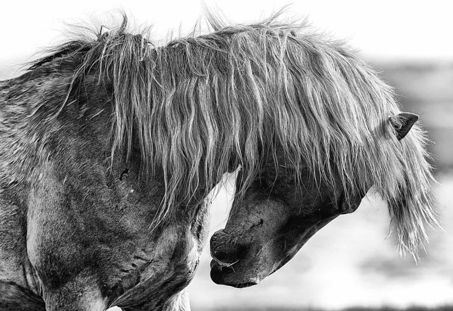 Black and White Photograph Ejaz Khan - Surfeur