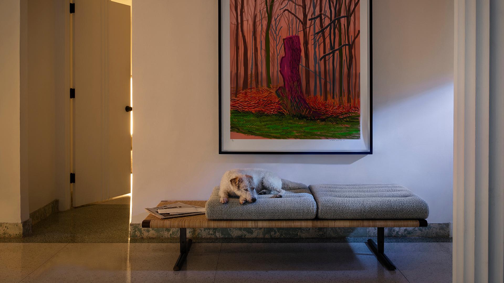 El Raval Bench by Yabu Pushelberg in Walnut Ash Frame with Natural Rattan For Sale 1