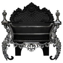Une grille de cheminée décorative rococo en argent allemand