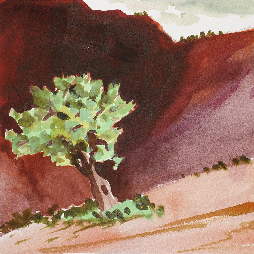 Elaine Holien Landscape Painting - Tree in Abiquiu