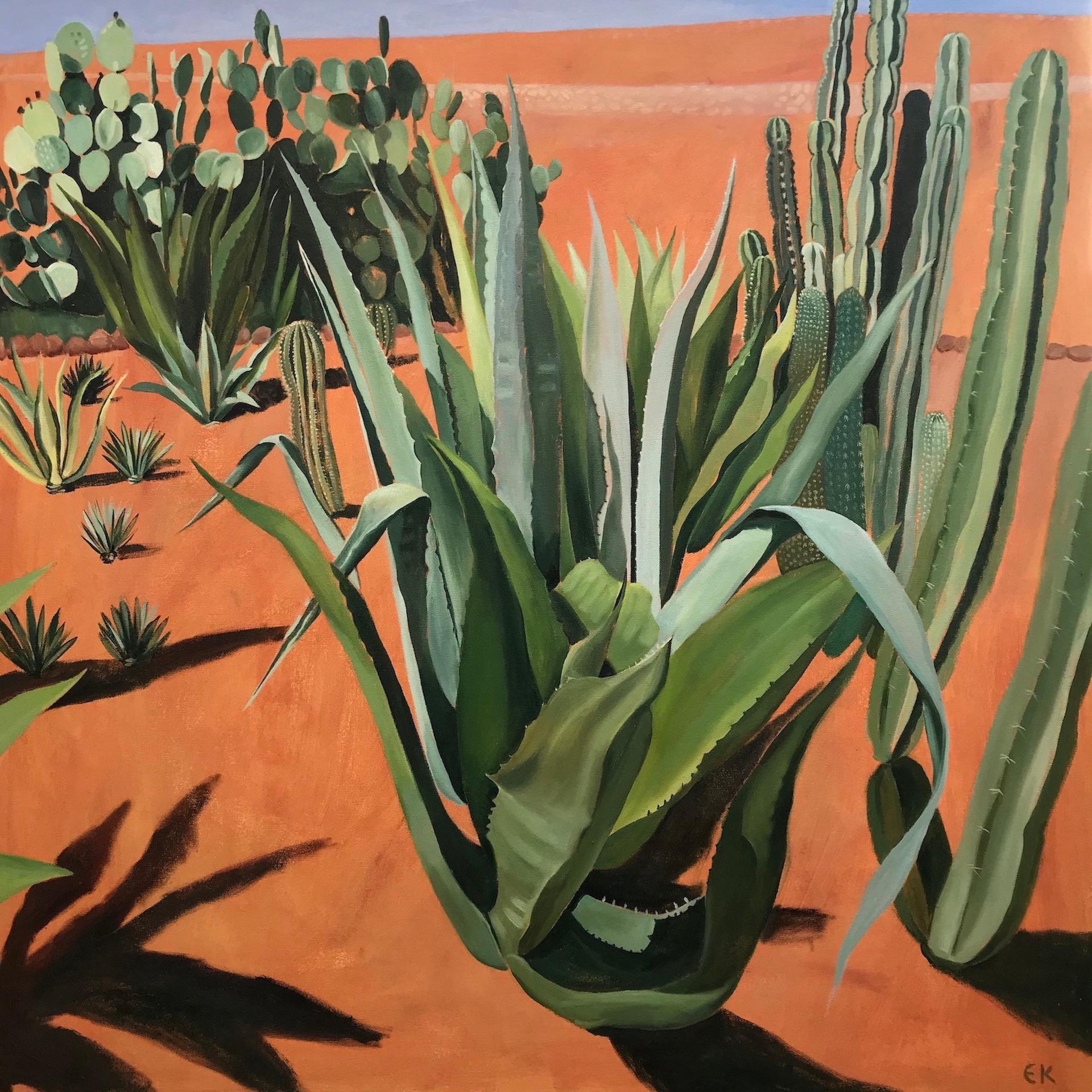 Elaine Kazimierczuk Still-Life Painting – Cacti mit Schatten, Musee de la Palmeraie, Marokko, Wüstenkunst, Pflanzen, Kakteen