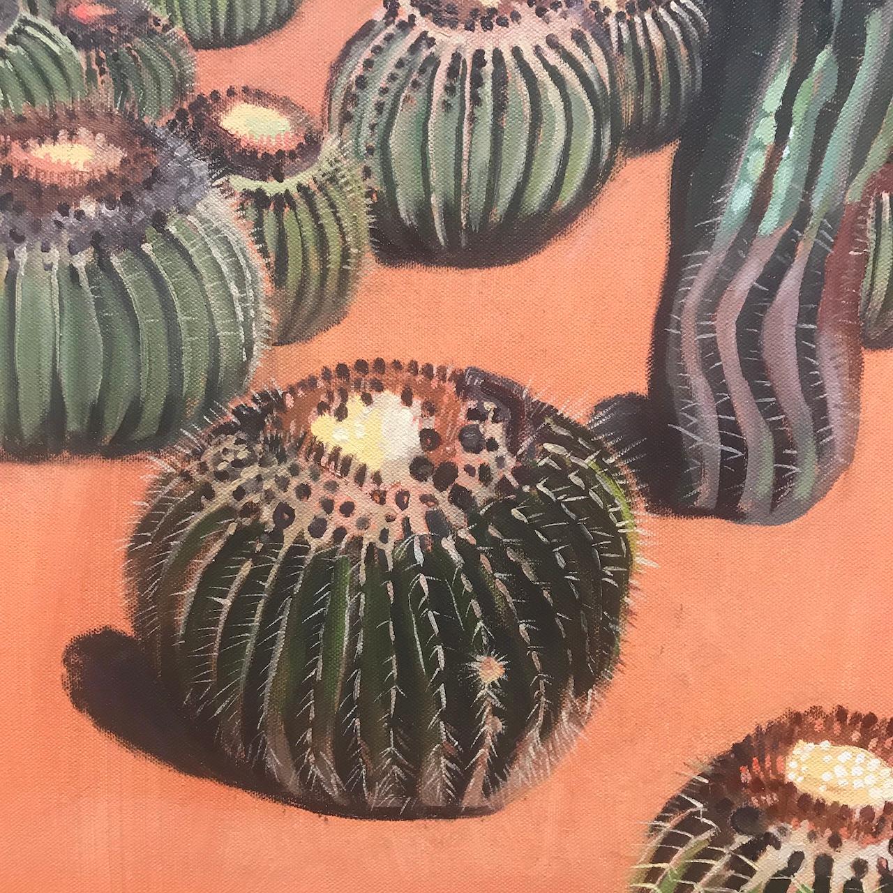 morocco cactus