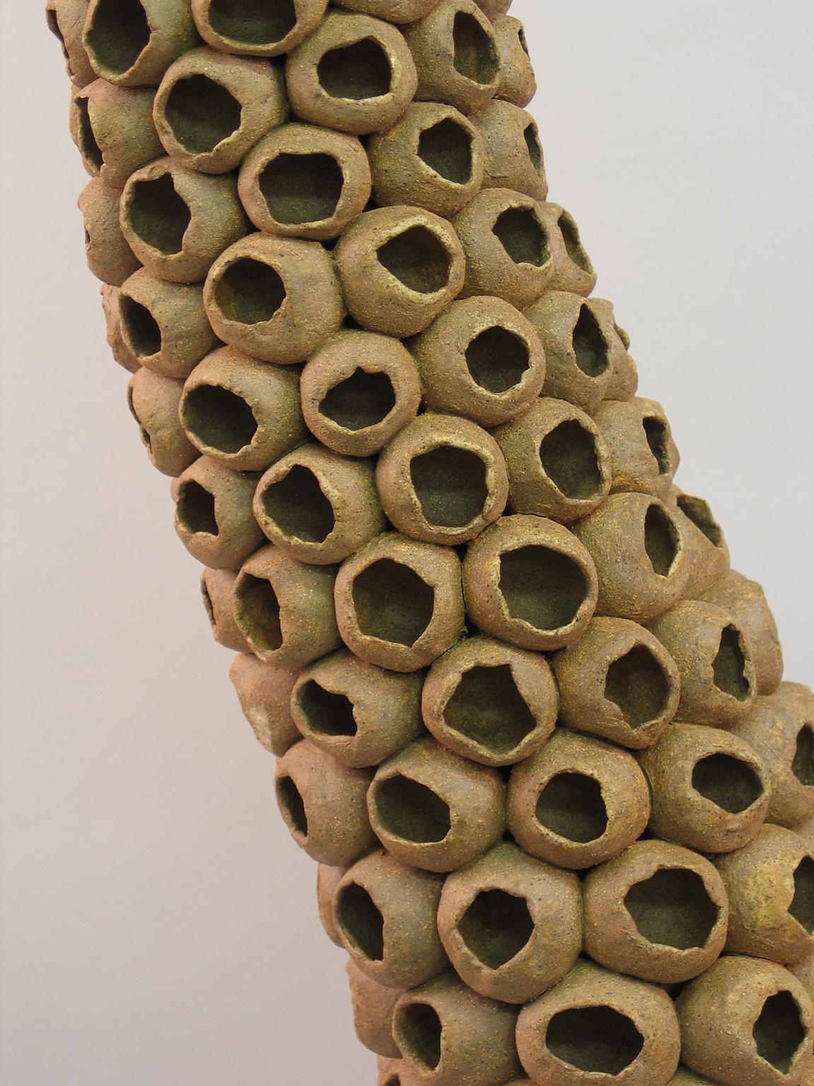“Depleted”, natural tan ceramic seedpods - Sculpture by Elaine Lorenz